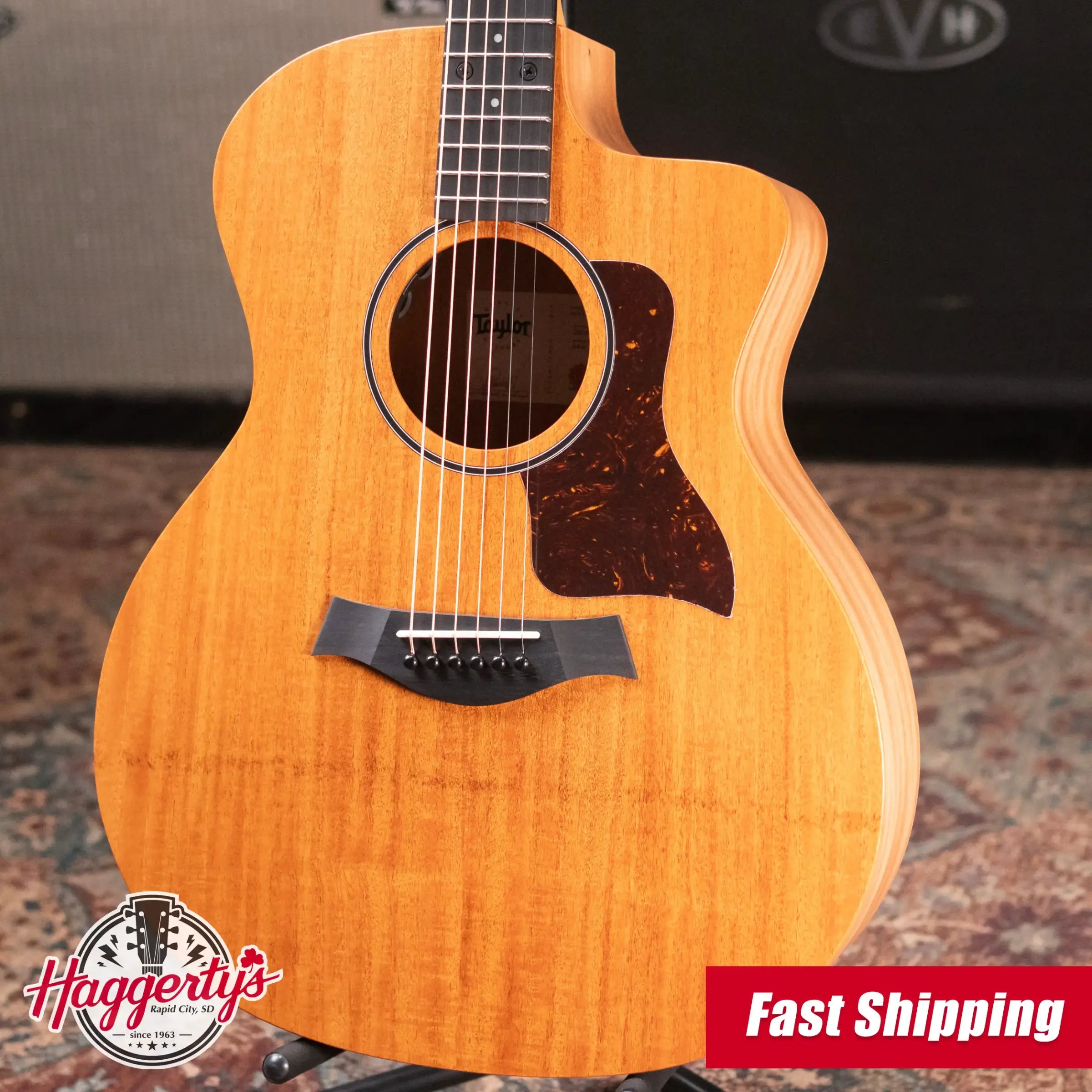 Taylor 24ce Grand Auditorium Acoustic/Electric Guitar with Gig Bag