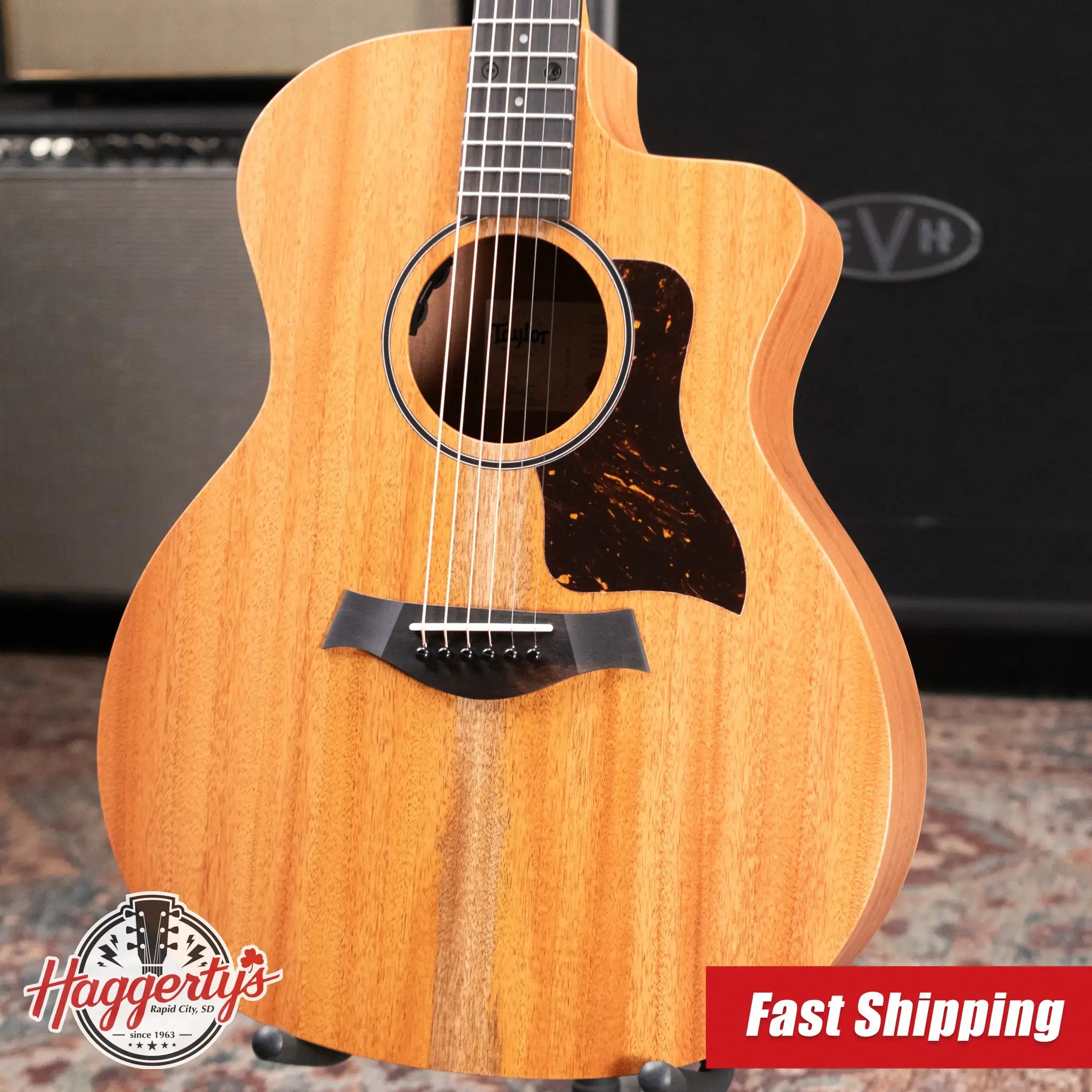 Taylor 24ce Grand Auditorium Acoustic/Electric Guitar with Gig Bag