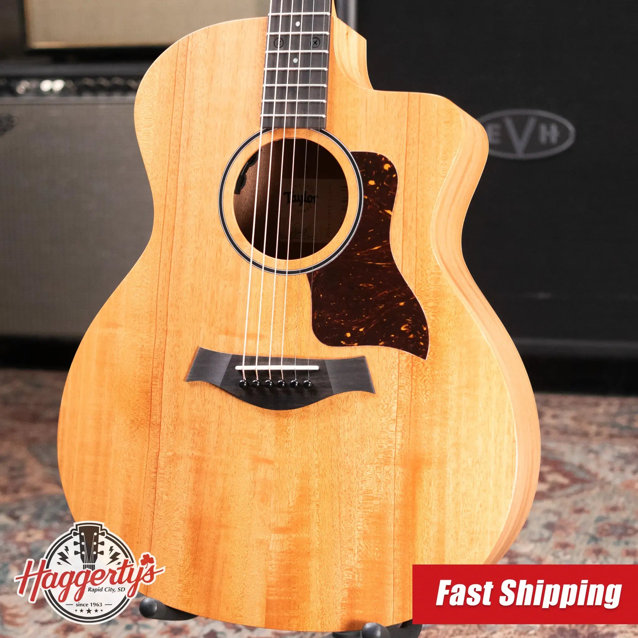 Taylor 24ce Grand Auditorium Acoustic/Electric Guitar with Gig Bag