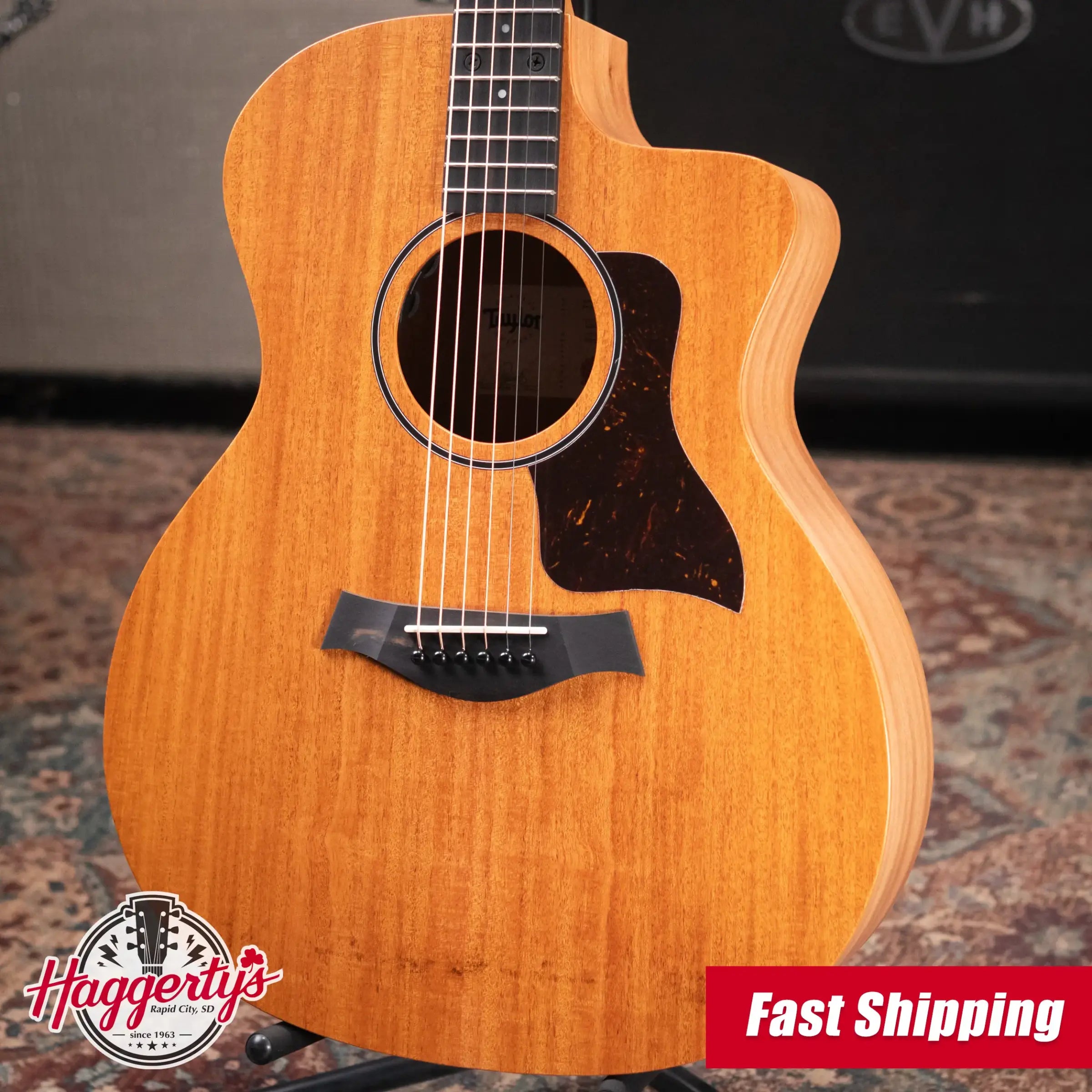 Taylor 24ce Grand Auditorium Acoustic/Electric Guitar with Gig Bag