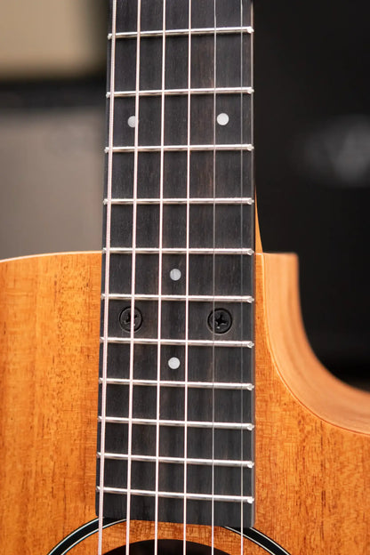 Taylor 24ce Grand Auditorium Acoustic/Electric Guitar with Gig Bag