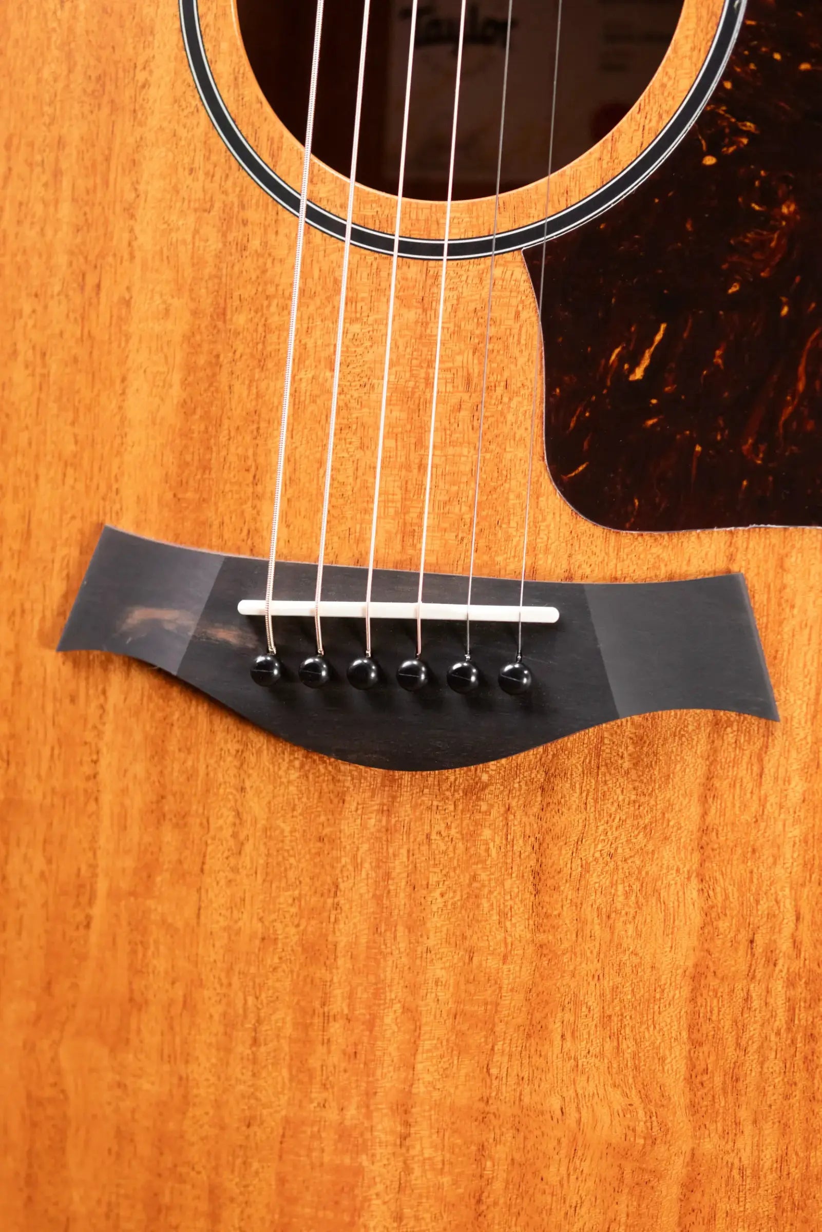 Taylor 24ce Grand Auditorium Acoustic/Electric Guitar with Gig Bag