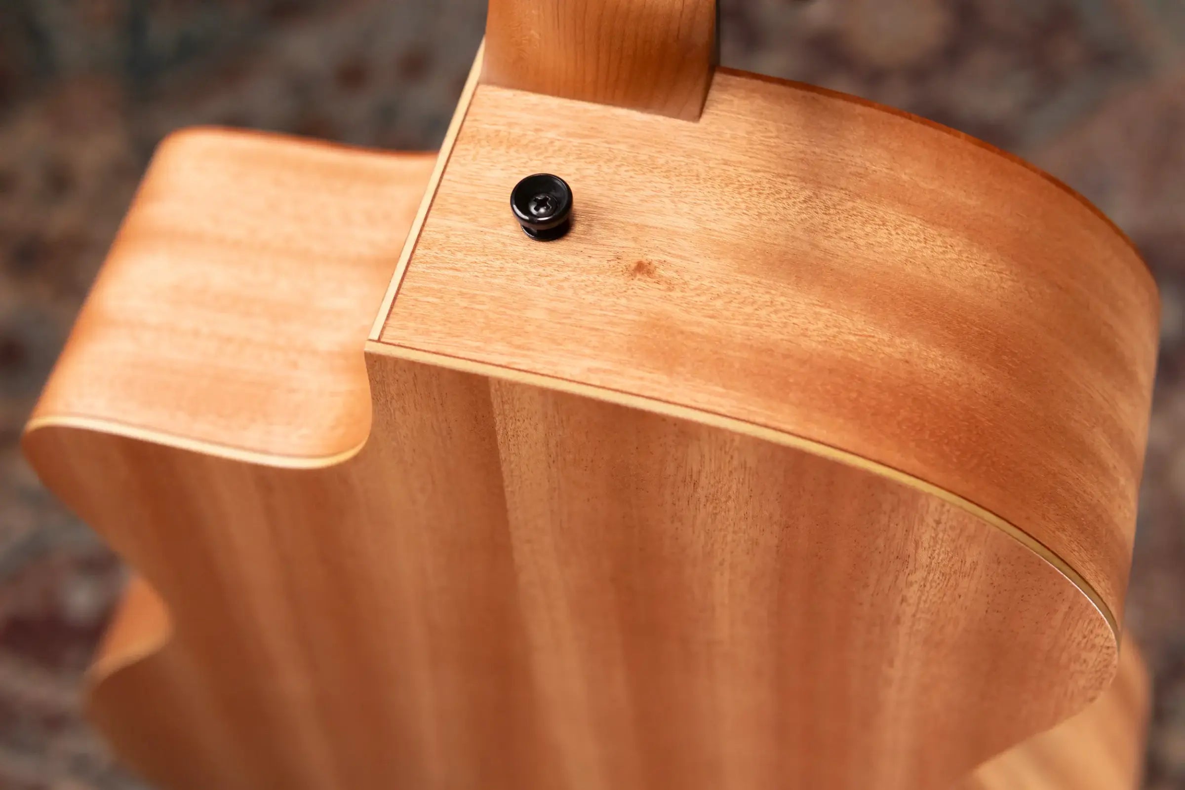 Taylor 24ce Grand Auditorium Acoustic/Electric Guitar with Gig Bag