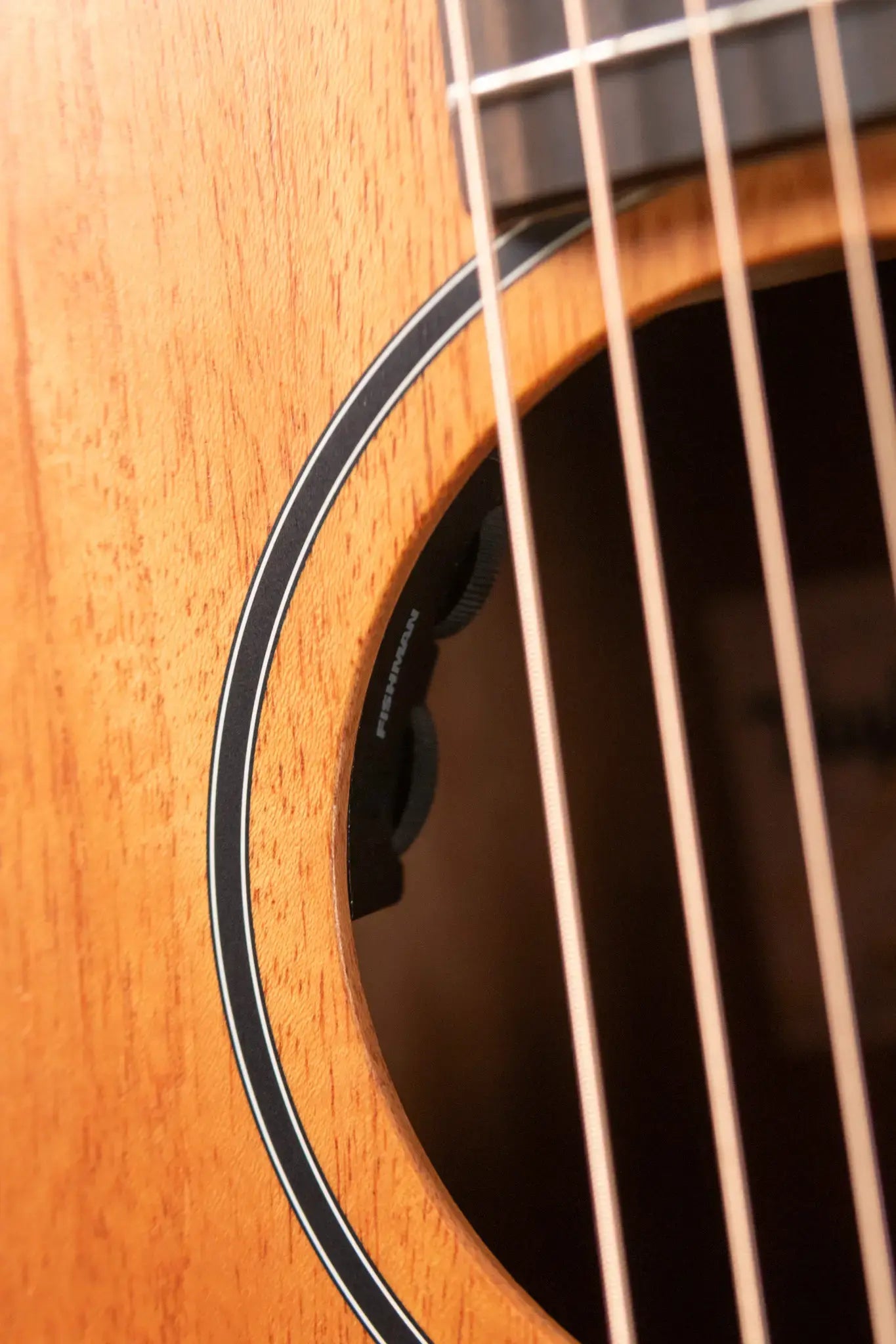 Taylor 24ce Grand Auditorium Acoustic/Electric Guitar with Gig Bag