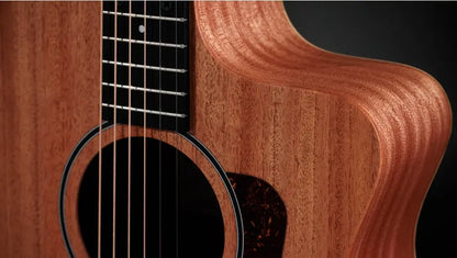 Taylor 24ce Grand Auditorium Acoustic/Electric Guitar with Gig Bag