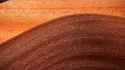 Taylor 24ce Grand Auditorium Acoustic/Electric Guitar with Gig Bag