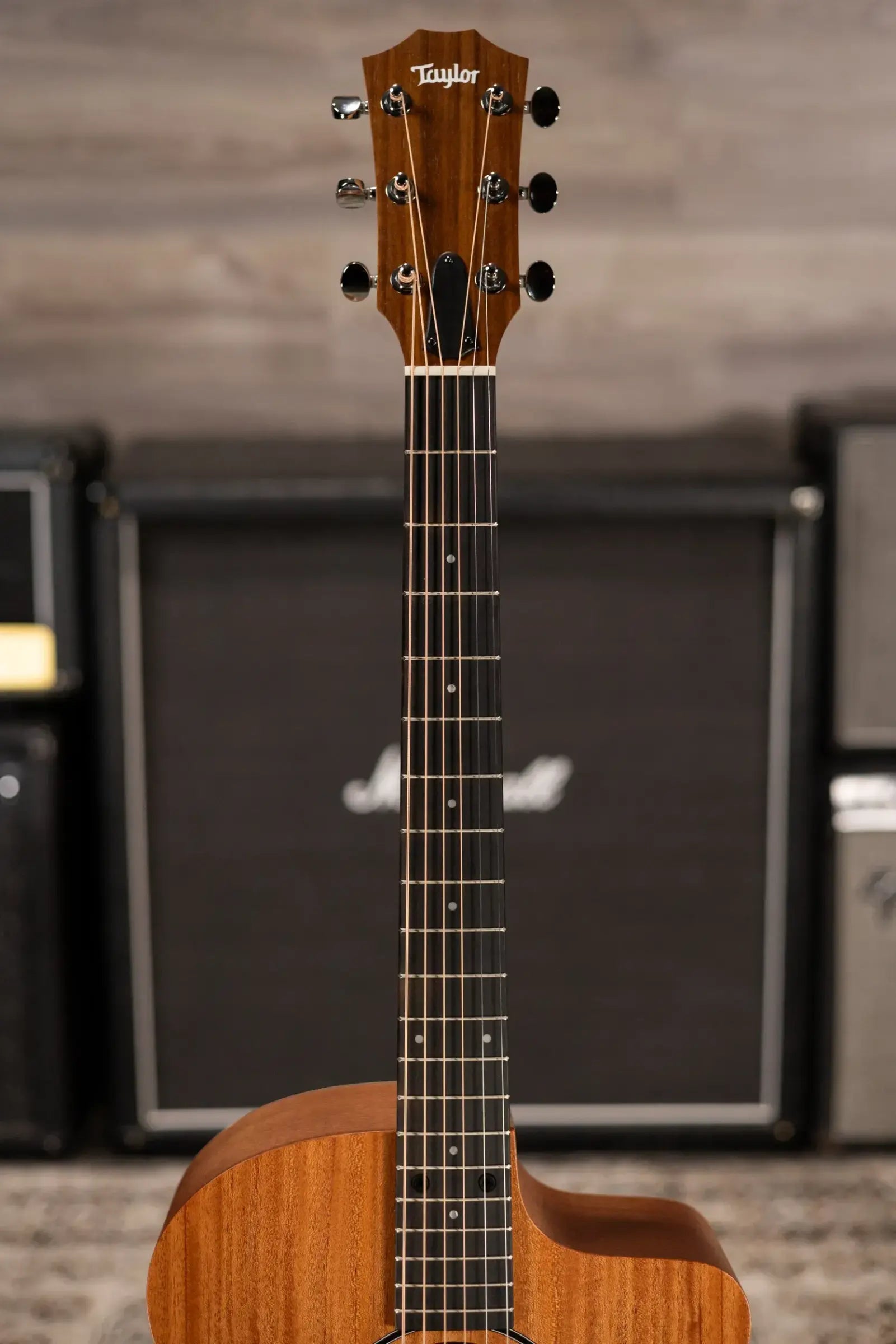 Taylor 24ce Grand Auditorium Acoustic/Electric Guitar with Gig Bag