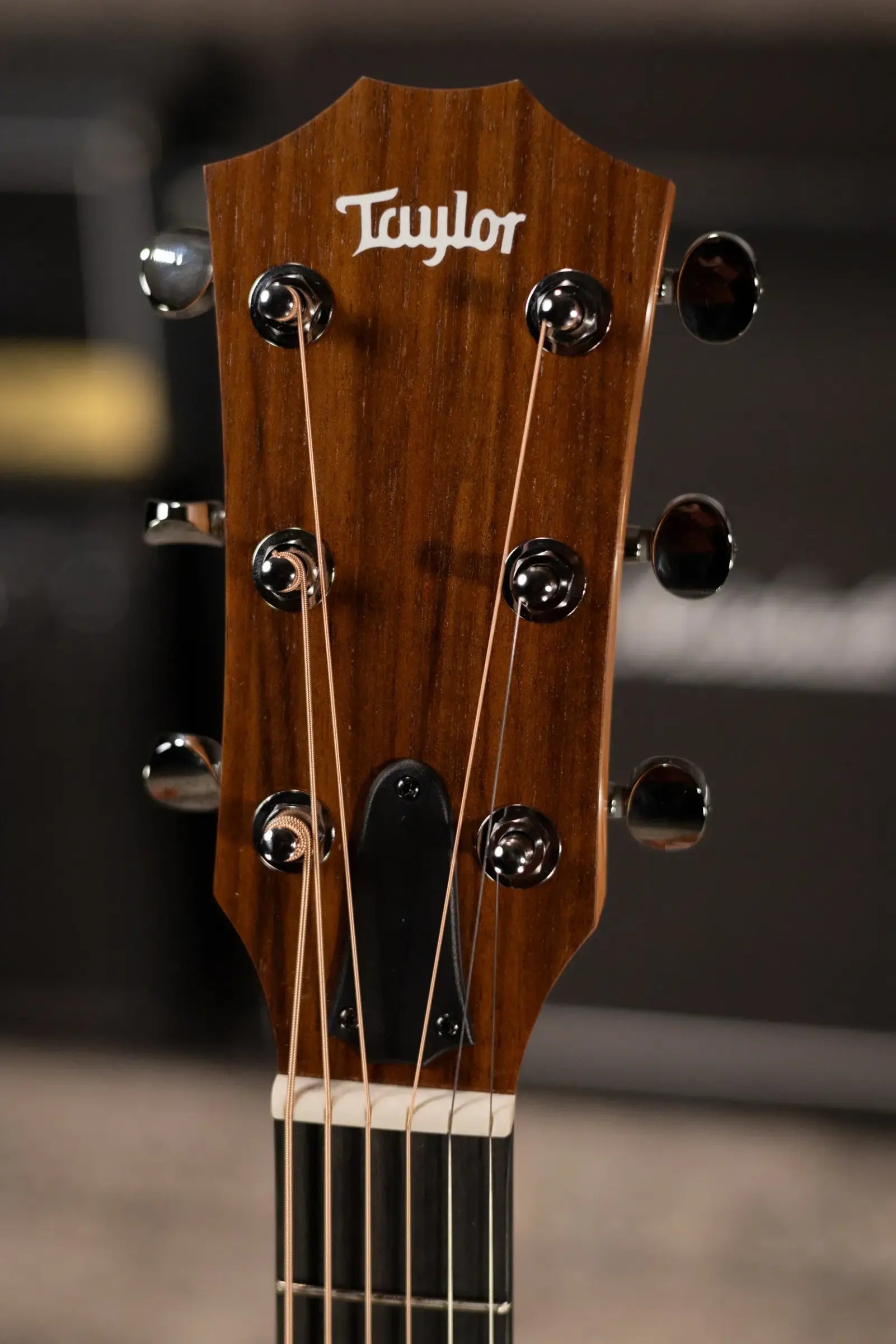 Taylor 24ce Grand Auditorium Acoustic/Electric Guitar with Gig Bag