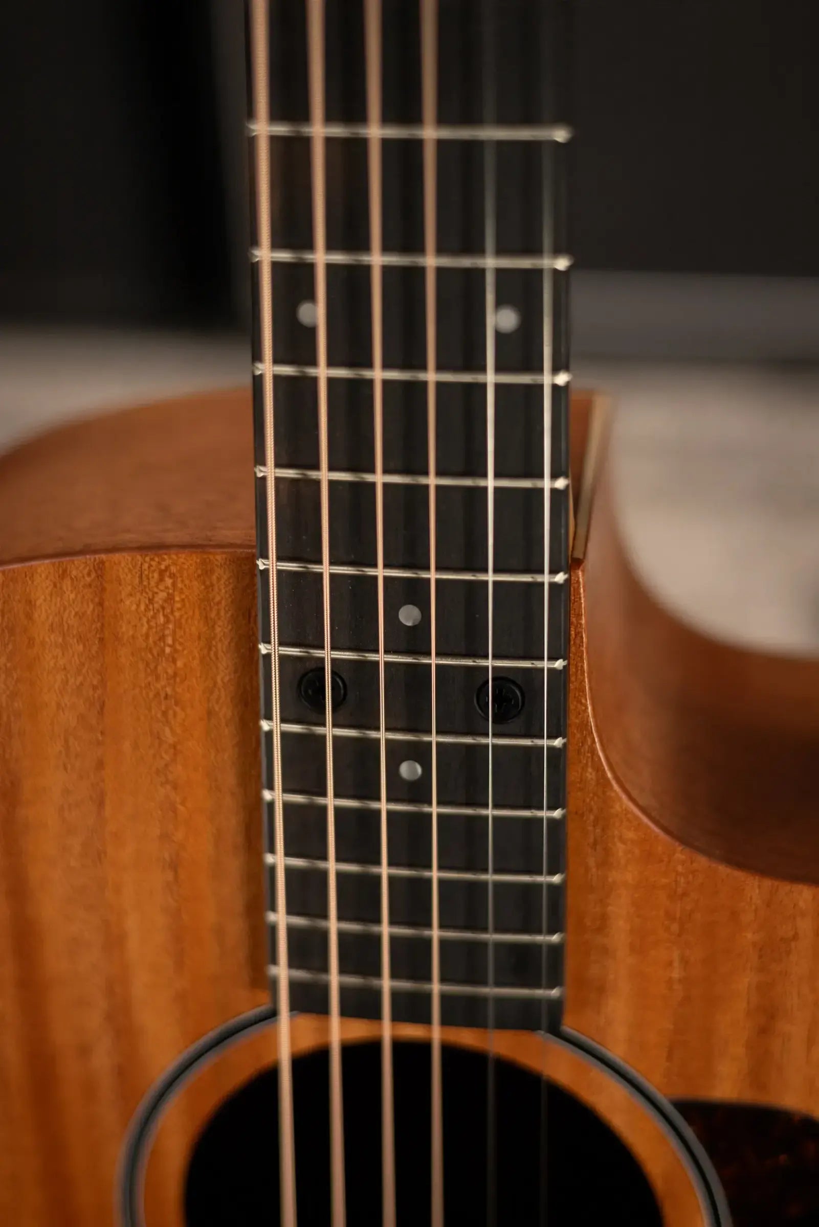 Taylor 24ce Grand Auditorium Acoustic/Electric Guitar with Gig Bag