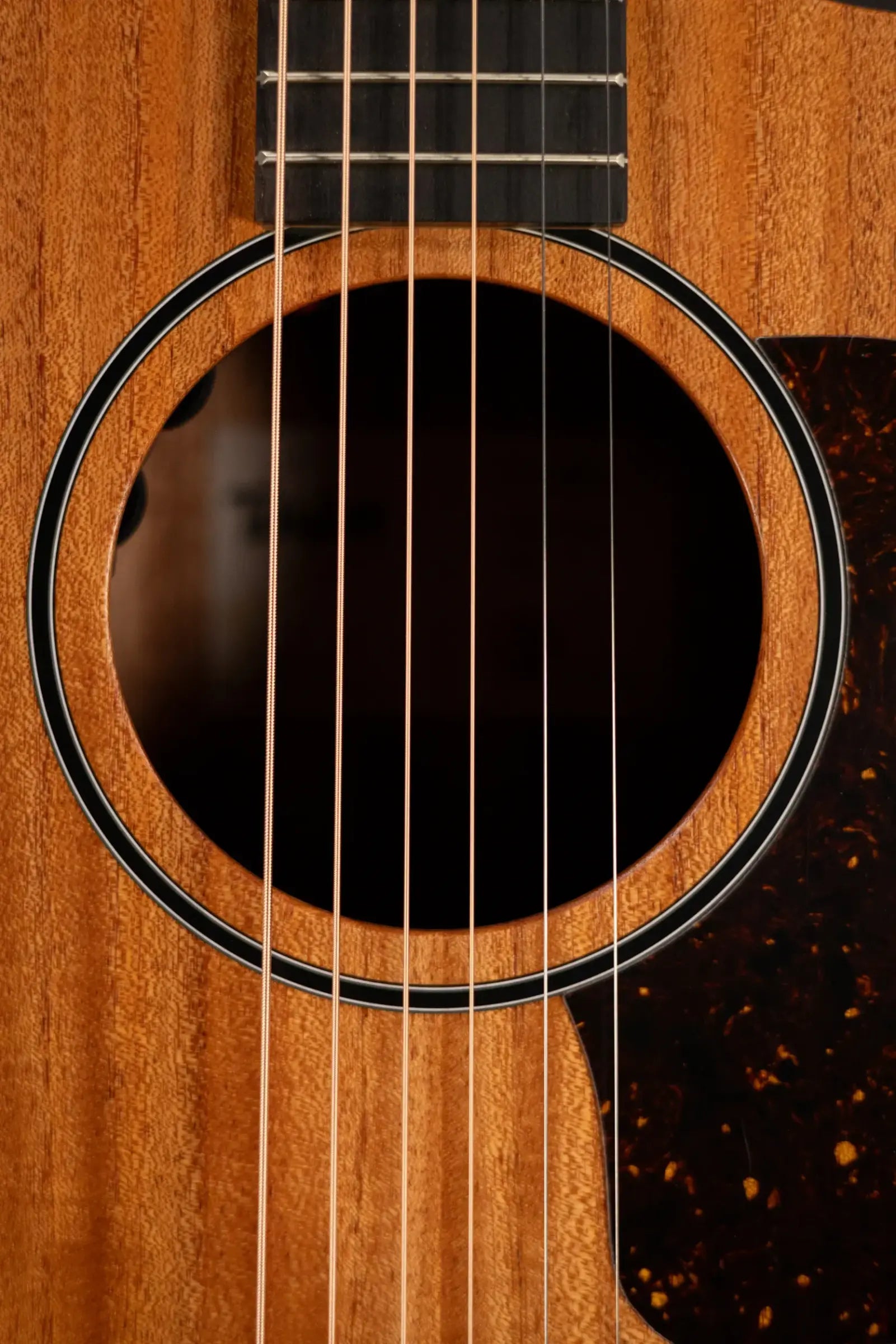 Taylor 24ce Grand Auditorium Acoustic/Electric Guitar with Gig Bag