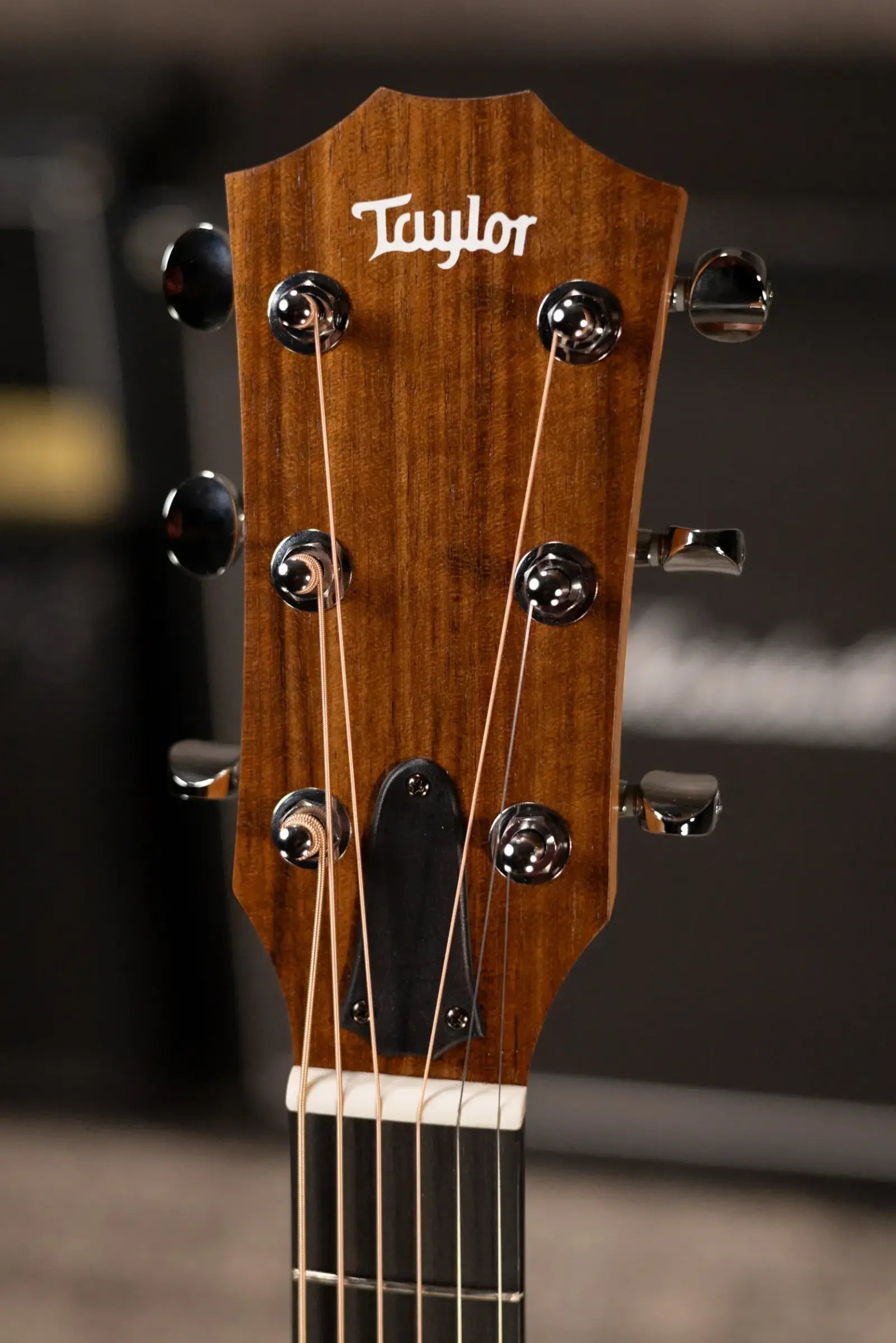 Taylor 24ce Grand Auditorium Acoustic-Electric Guitar with Gig Bag