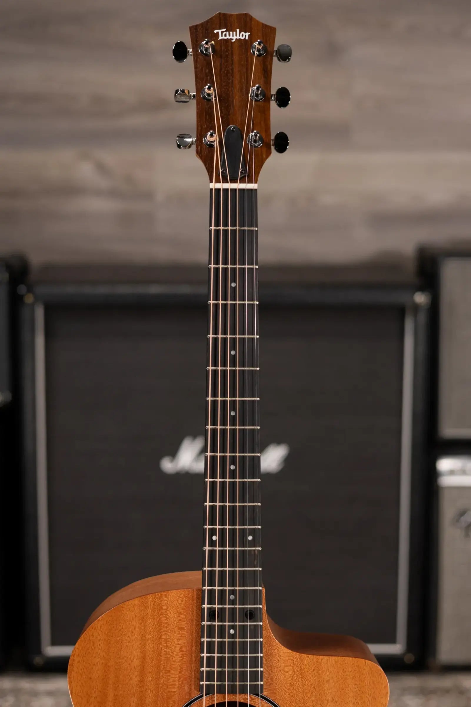 Taylor 24ce Grand Auditorium Acoustic/Electric Guitar with Gig Bag