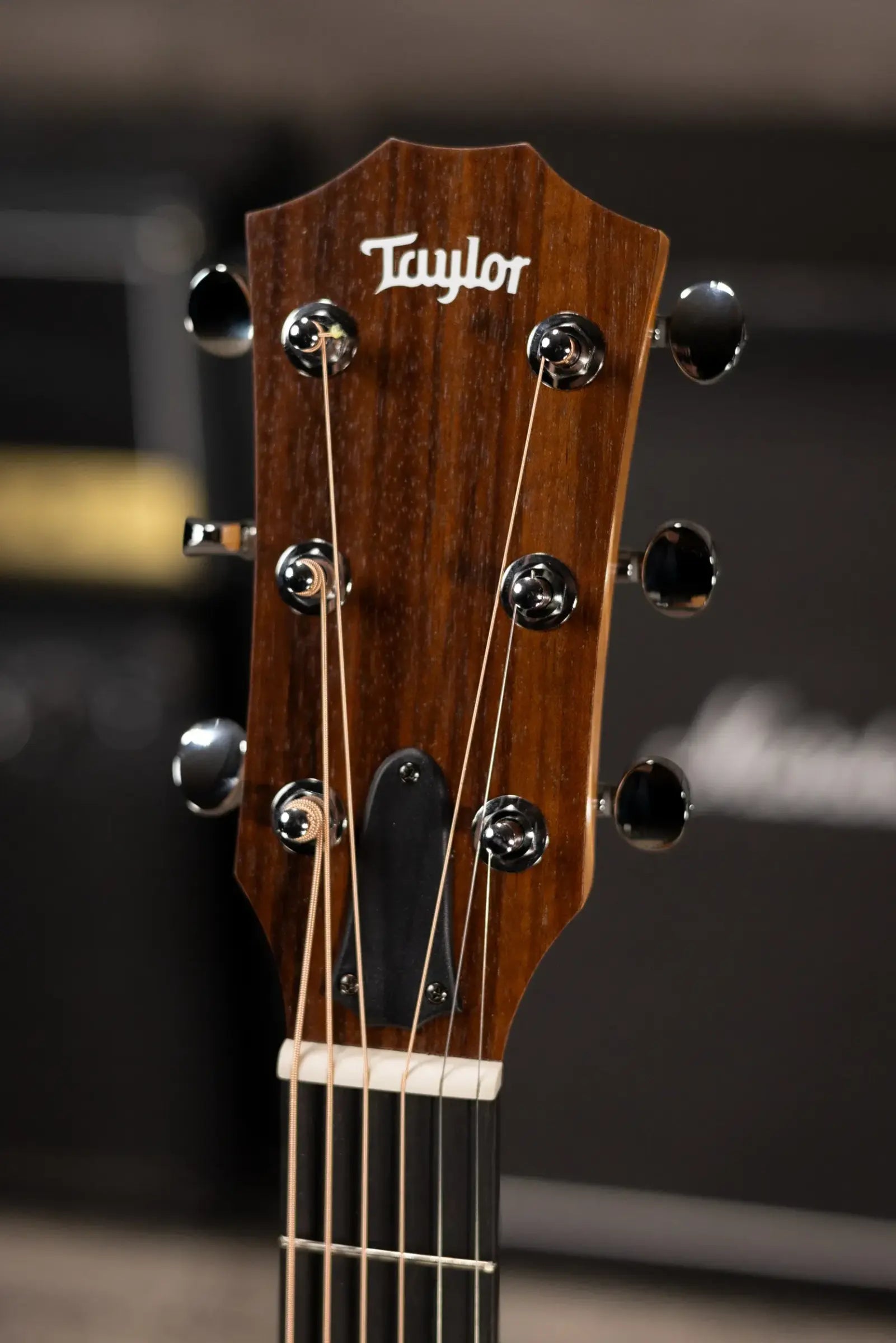 Taylor 24ce Grand Auditorium Acoustic/Electric Guitar with Gig Bag