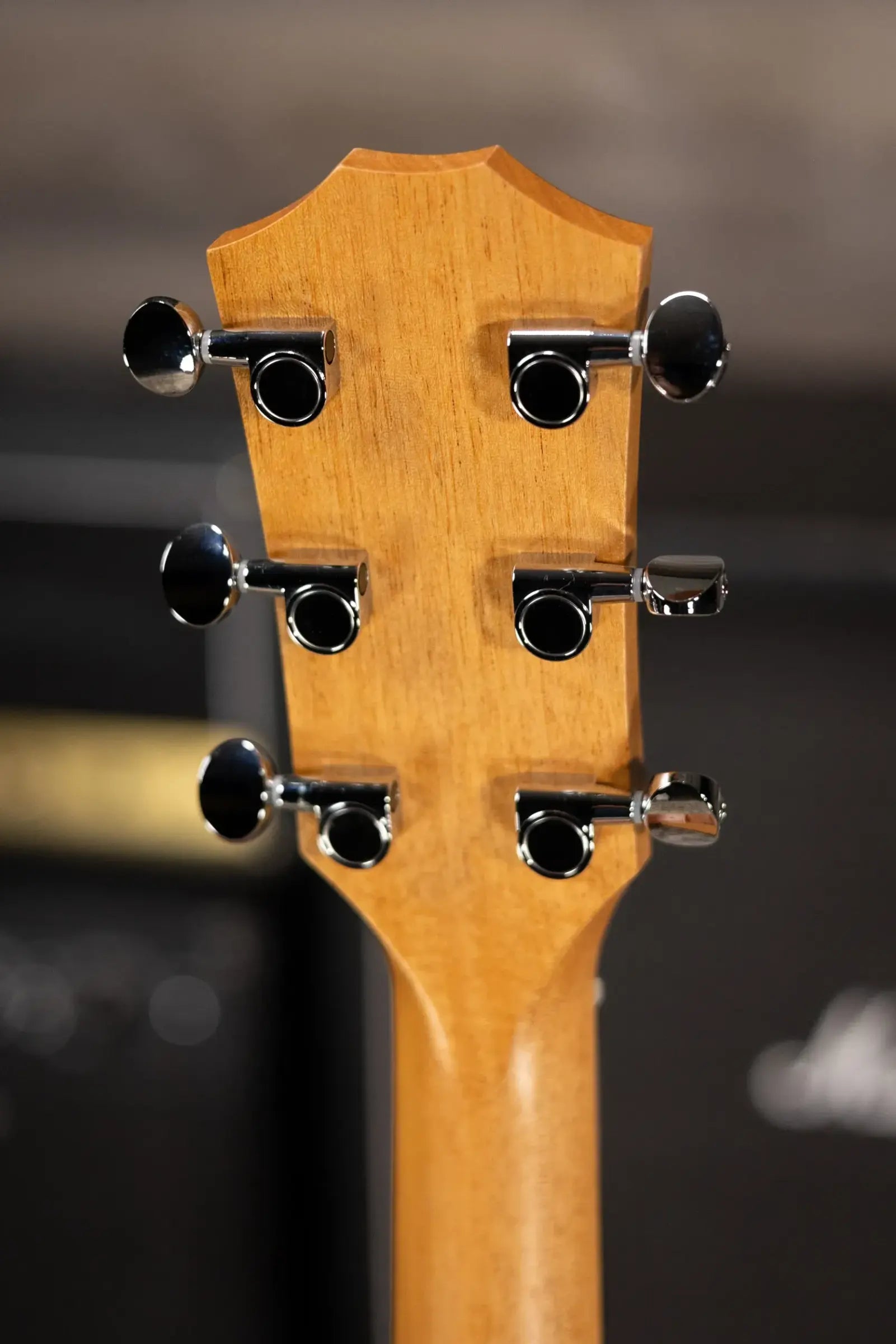 Taylor 24ce Grand Auditorium Acoustic/Electric Guitar with Gig Bag