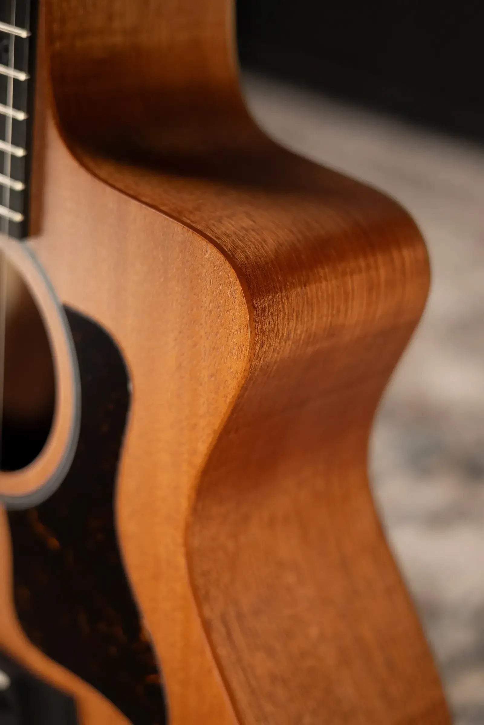 Taylor 24ce Grand Auditorium Acoustic/Electric Guitar with Gig Bag