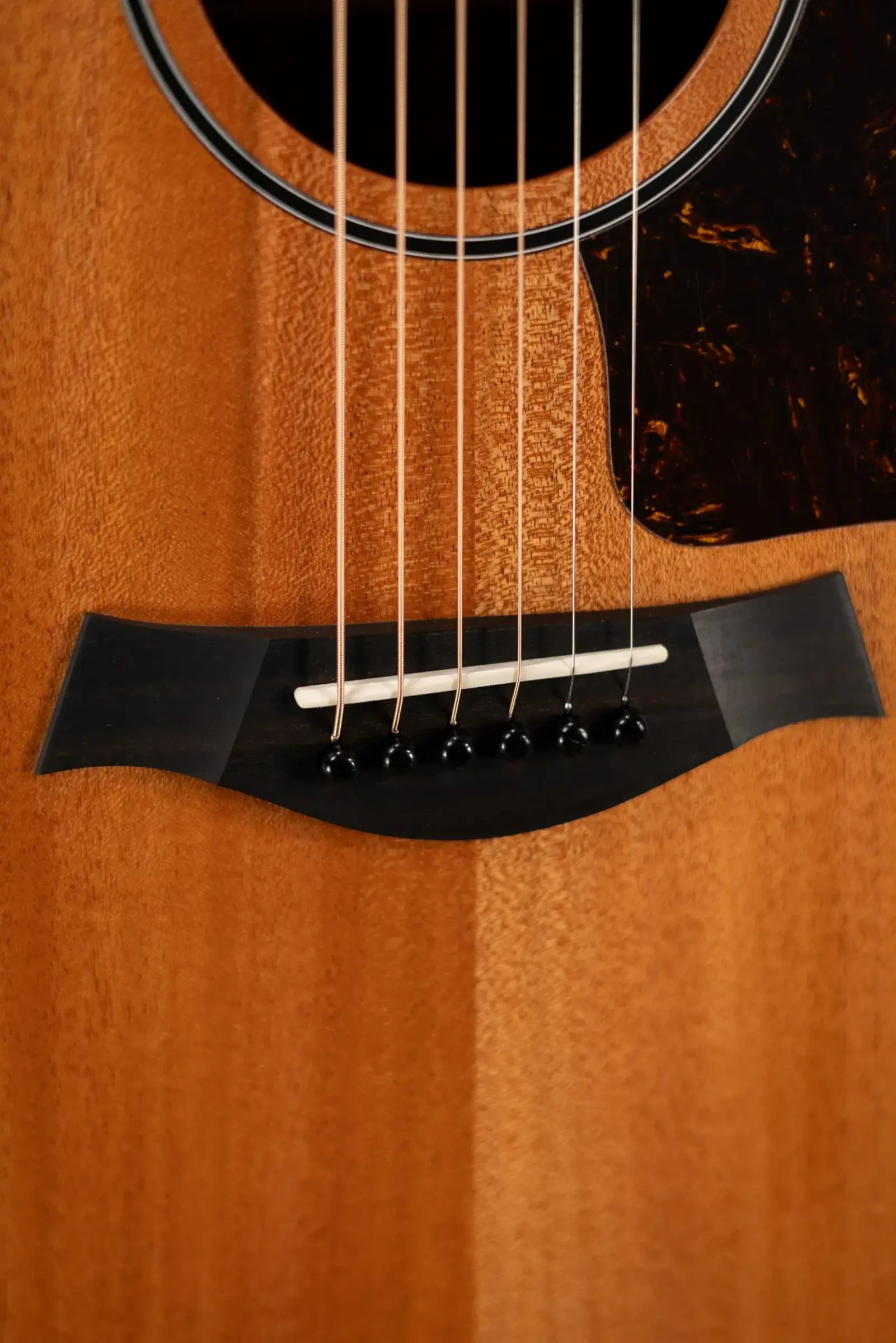 Taylor 24ce Grand Auditorium Acoustic/Electric Guitar with Gig Bag