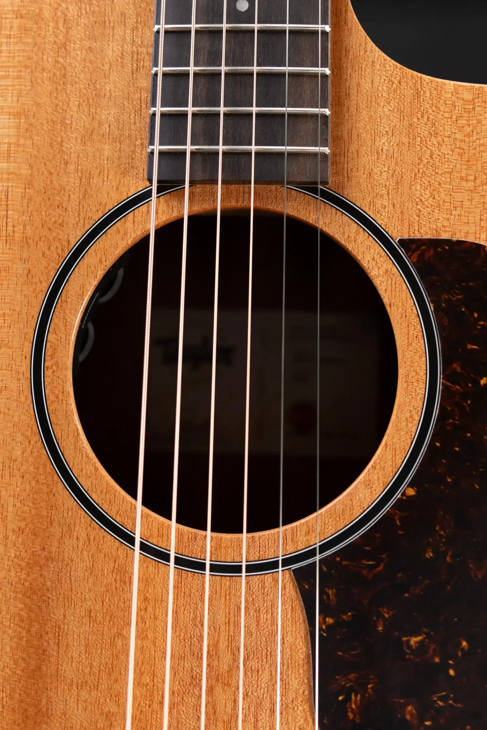 Taylor 24ce Grand Auditorium Acoustic/Electric Guitar with Gig Bag