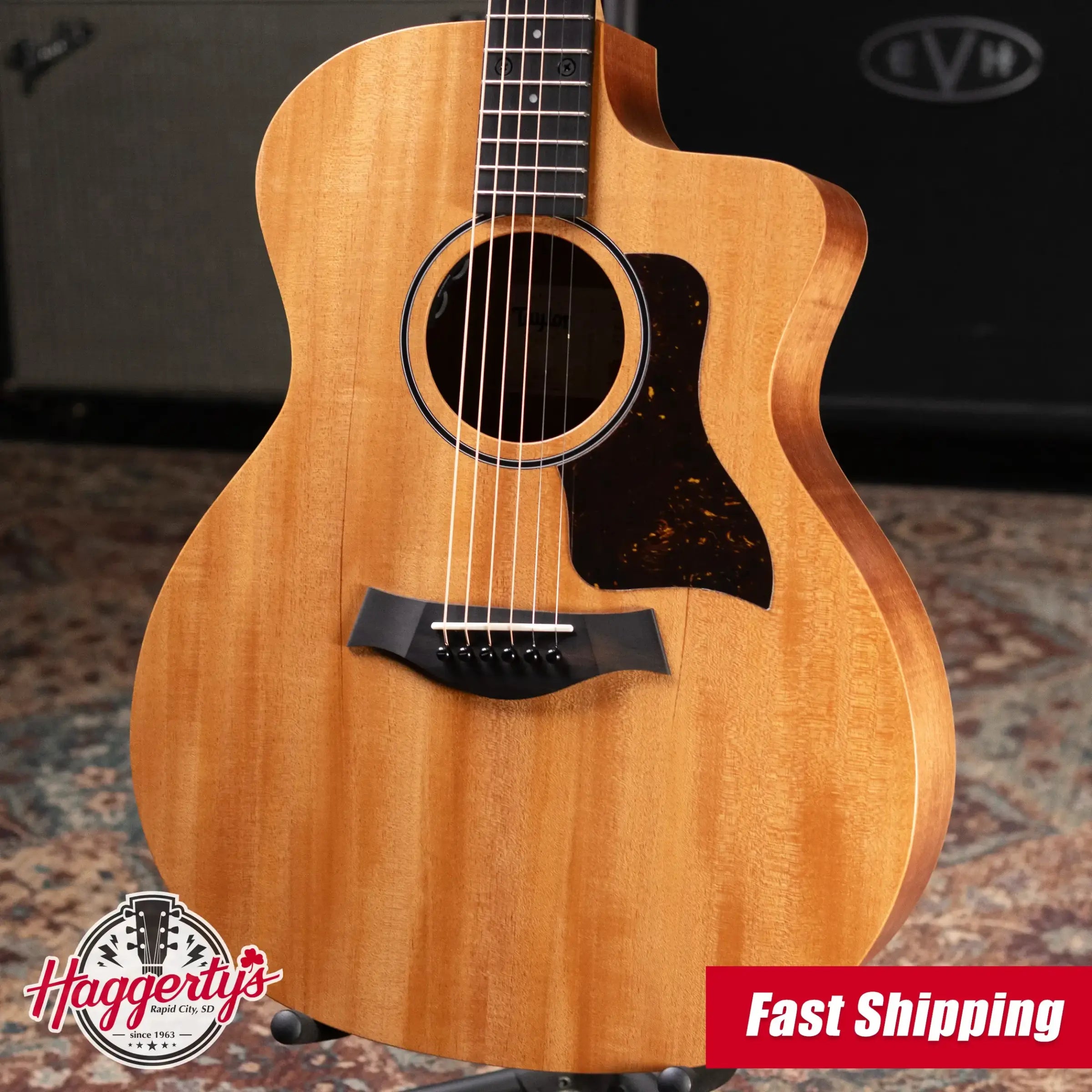 Taylor 24ce Grand Auditorium Acoustic/Electric Guitar with Gig Bag