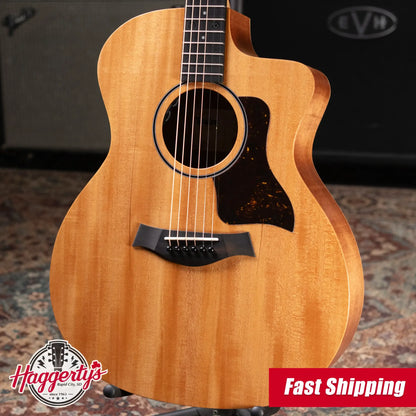 Taylor 24ce Grand Auditorium Acoustic/Electric Guitar with Gig Bag