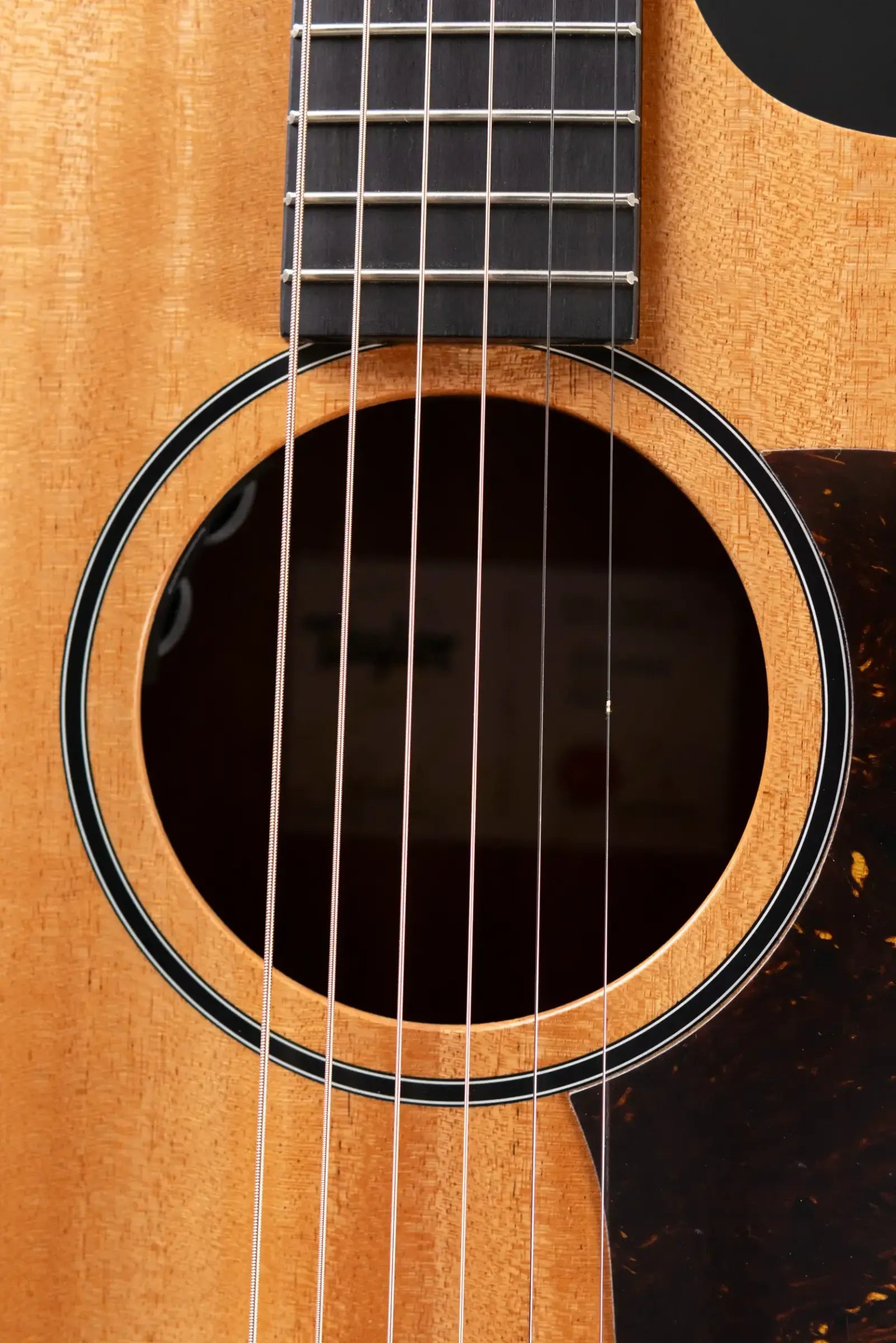 Taylor 24ce Grand Auditorium Acoustic/Electric Guitar with Gig Bag