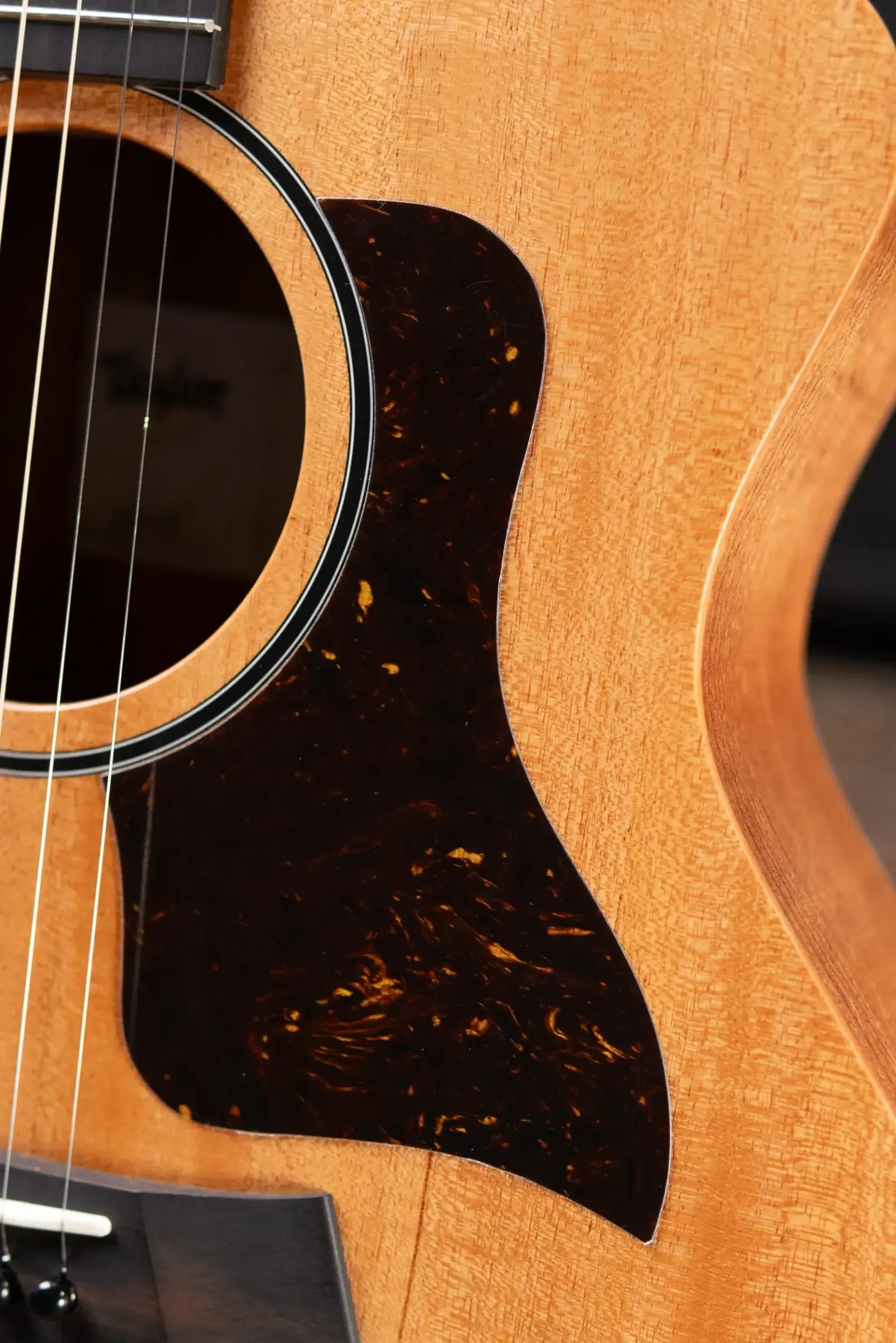Taylor 24ce Grand Auditorium Acoustic/Electric Guitar with Gig Bag