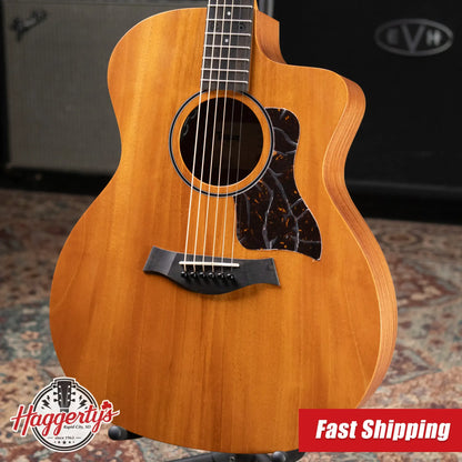 Taylor 24ce Grand Auditorium Acoustic-Electric Guitar with Gig Bag - Floor Demo