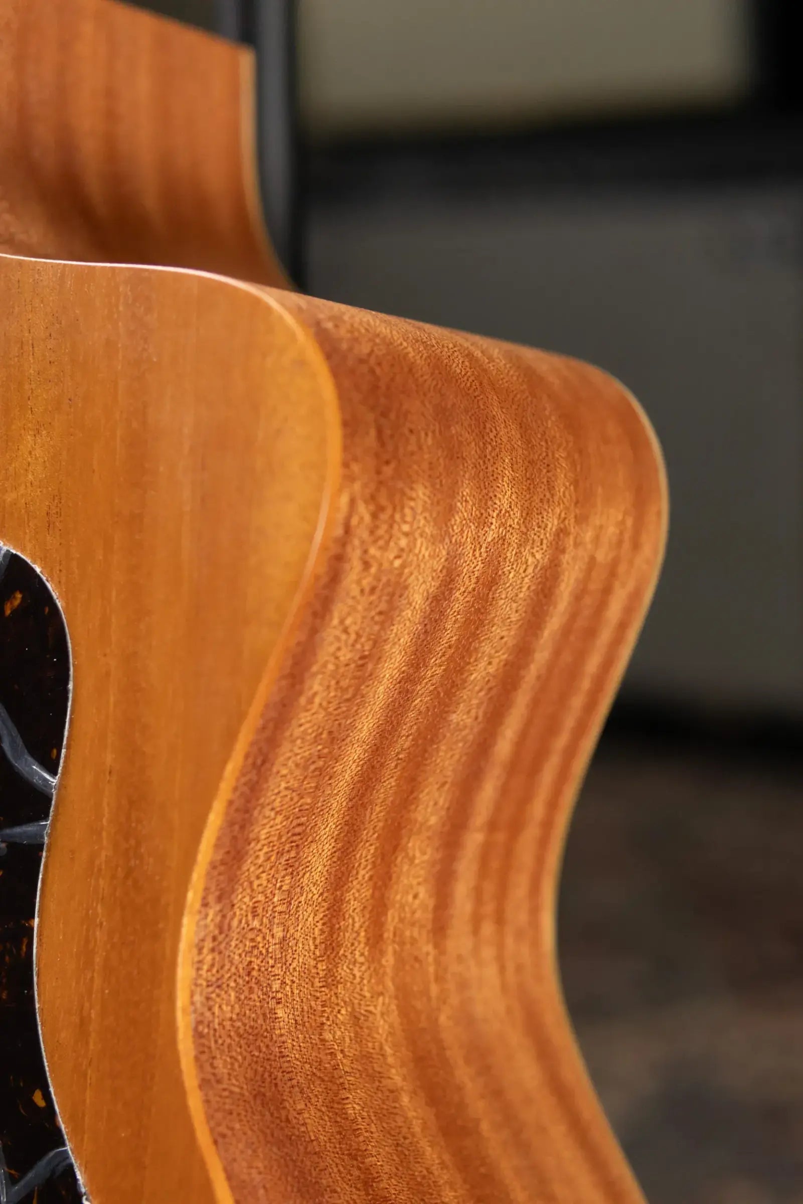Taylor 24ce Grand Auditorium Acoustic-Electric Guitar with Gig Bag - Floor Demo