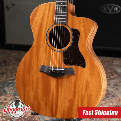 Taylor 24ce Grand Auditorium Acoustic-Electric Guitar with Gig Bag - Floor Demo