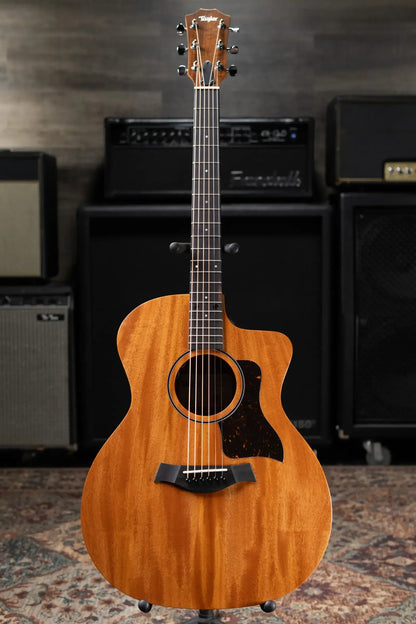 Taylor 24ce Grand Auditorium Acoustic-Electric Guitar with Gig Bag - Floor Demo