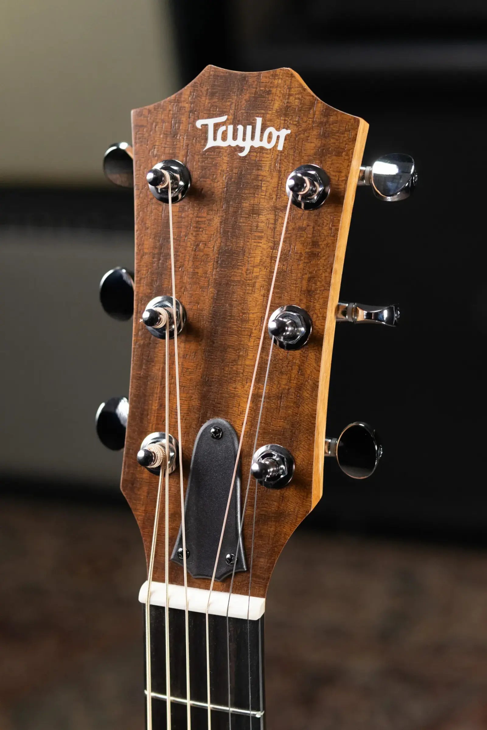 Taylor 24ce Grand Auditorium Acoustic-Electric Guitar with Gig Bag - Floor Demo