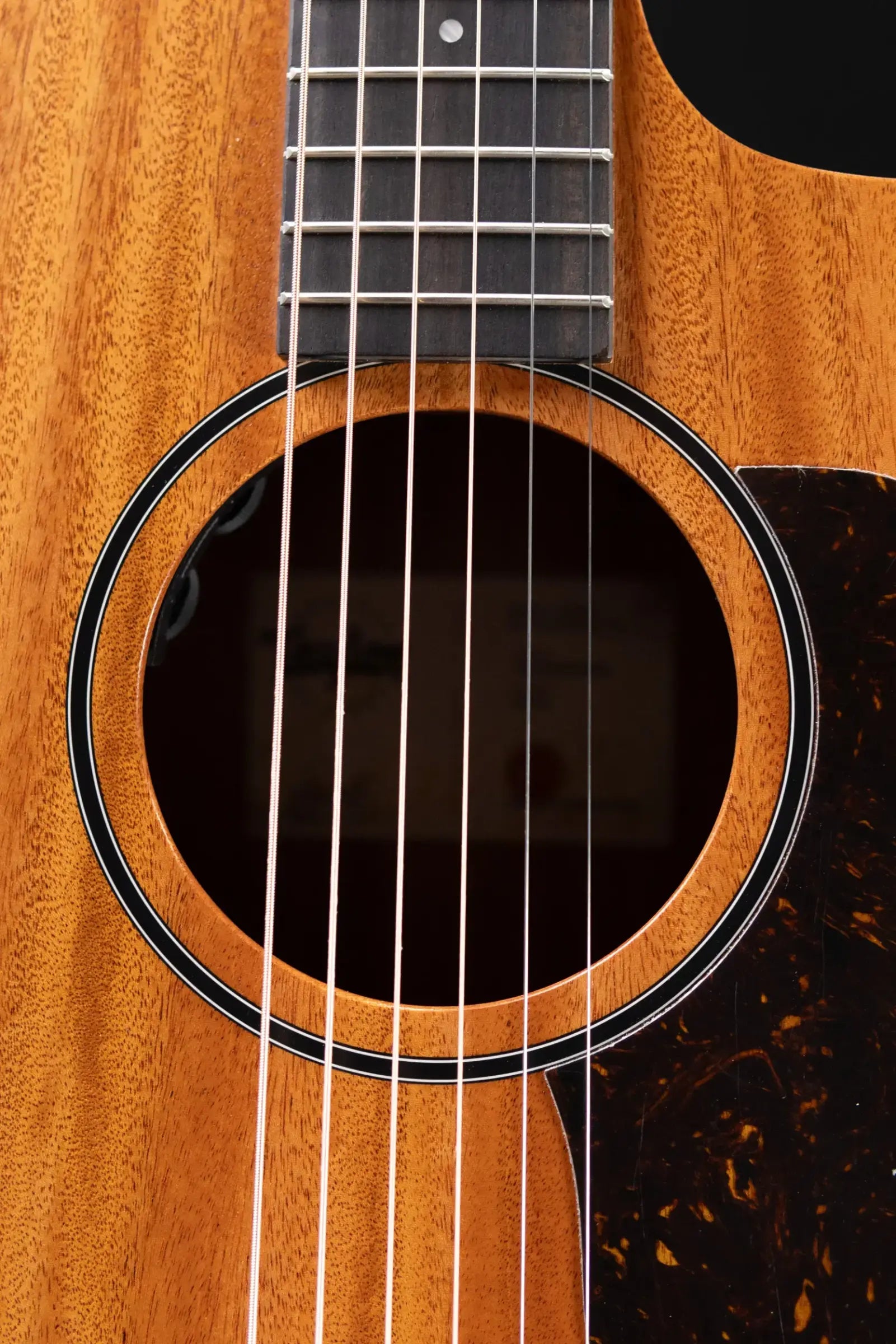 Taylor 24ce Grand Auditorium Acoustic-Electric Guitar with Gig Bag - Floor Demo