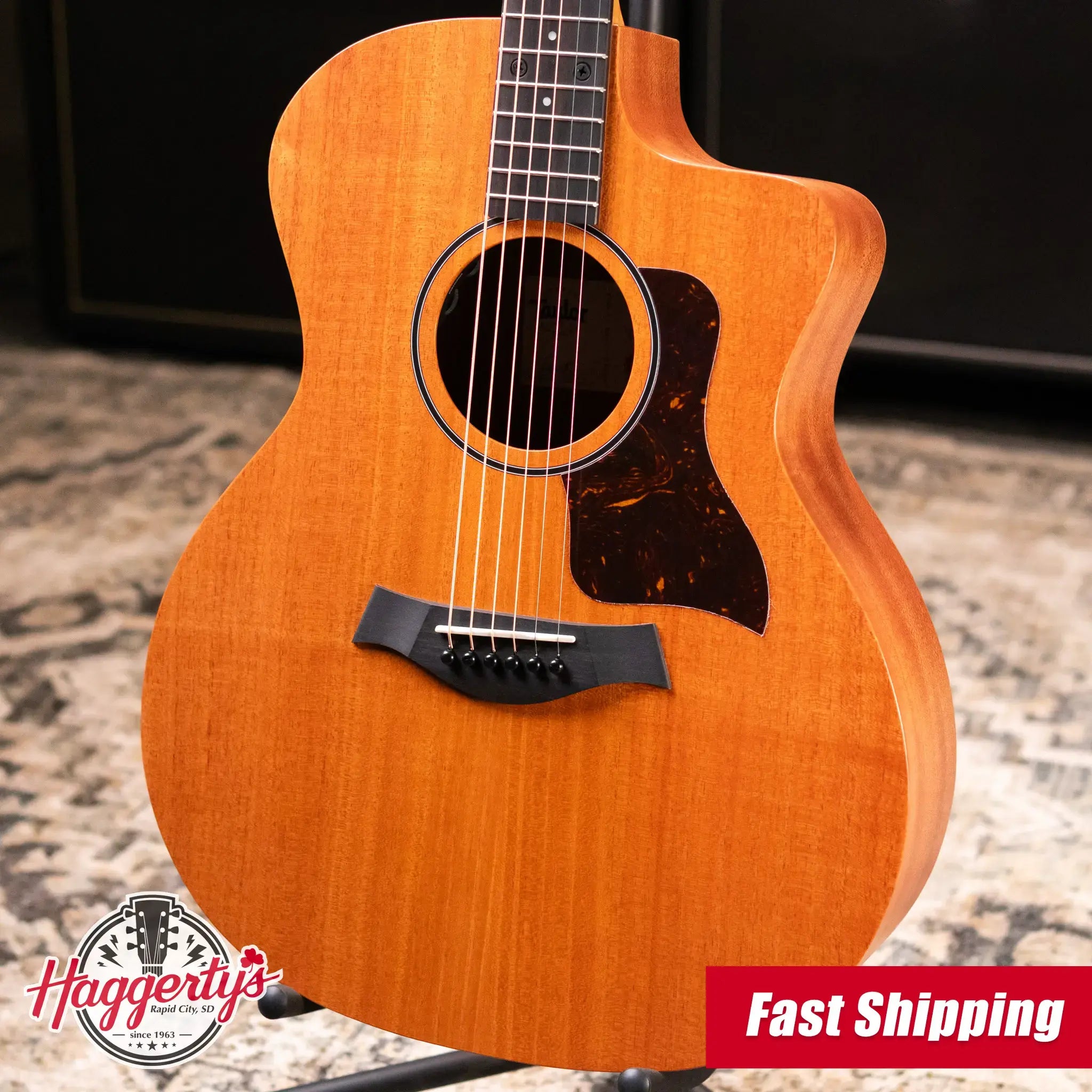 Taylor 24ce Grand Auditorium Acoustic Guitar with Fishman Electronics and Gig Bag