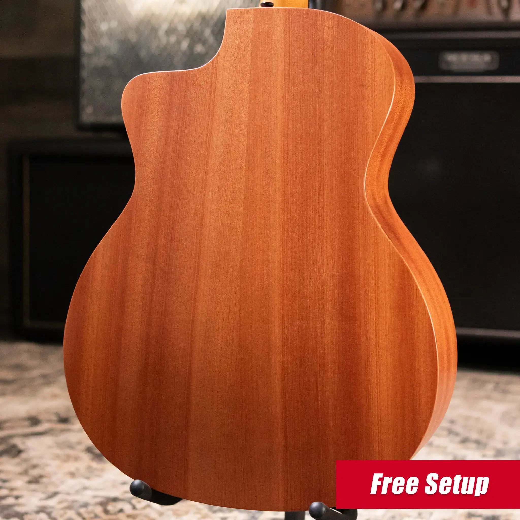 Taylor 24ce Grand Auditorium Acoustic Guitar with Fishman Electronics and Gig Bag