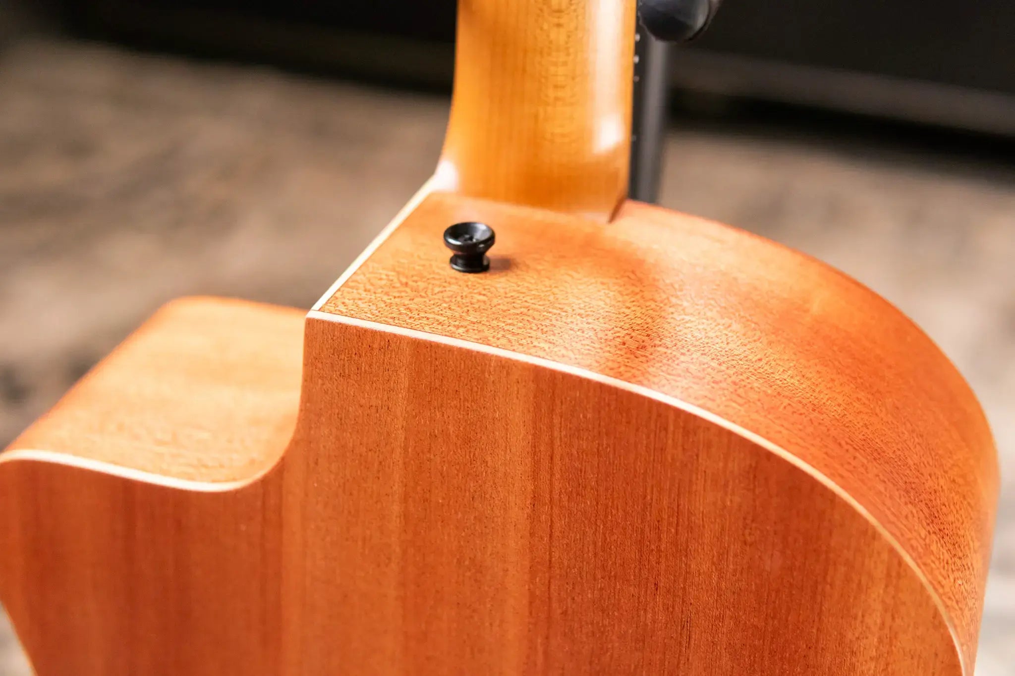 Taylor 24ce Grand Auditorium Acoustic Guitar with Fishman Electronics and Gig Bag