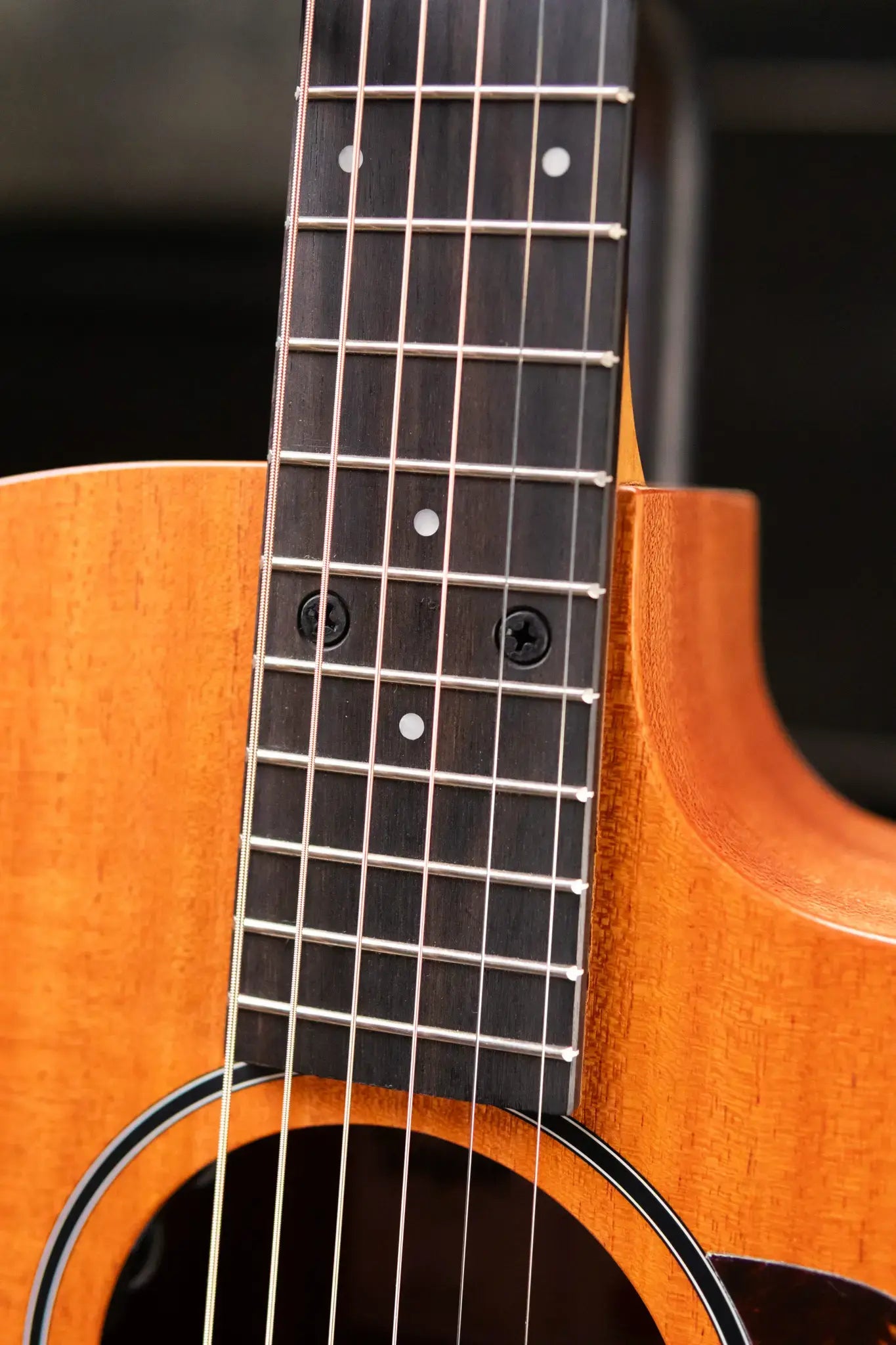 Taylor 24ce Grand Auditorium Acoustic Guitar with Fishman Electronics and Gig Bag