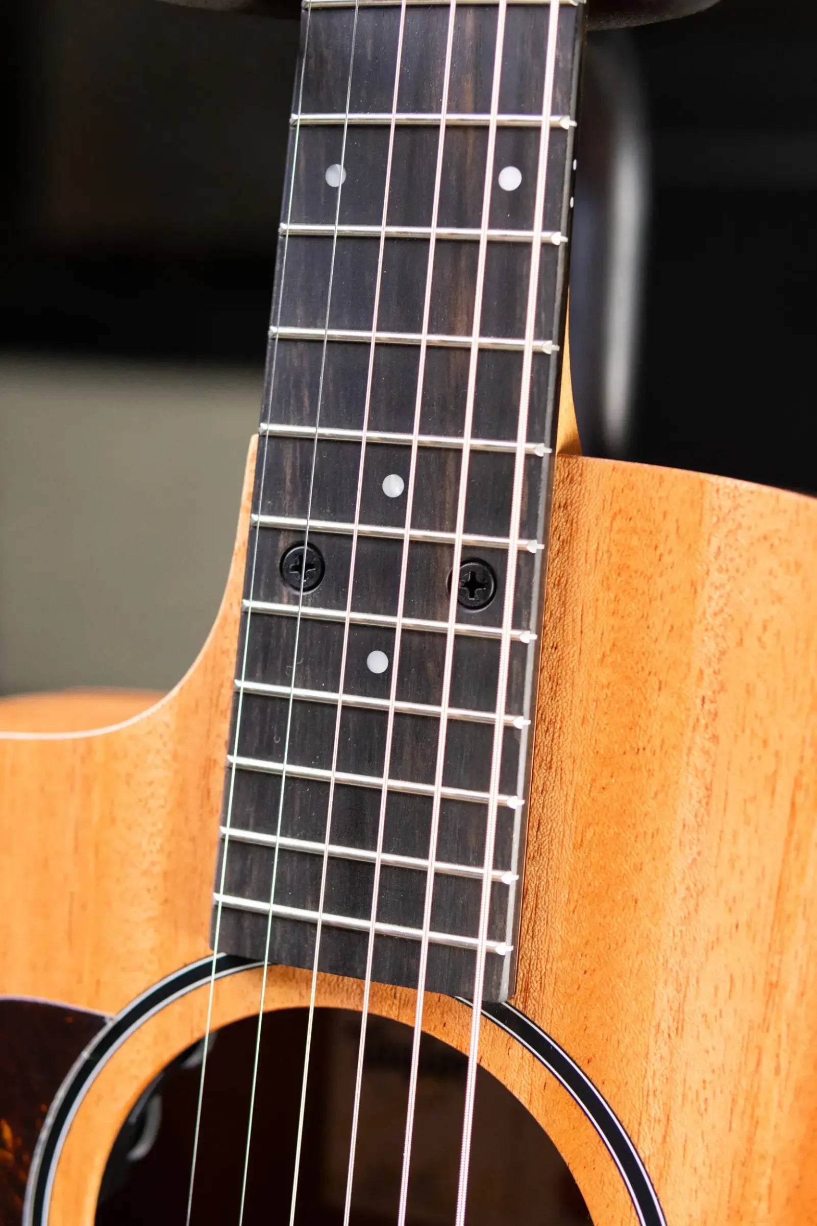 Taylor 24ce Left-Hand Grand Auditorium Acoustic/Electric Guitar with Gig Bag