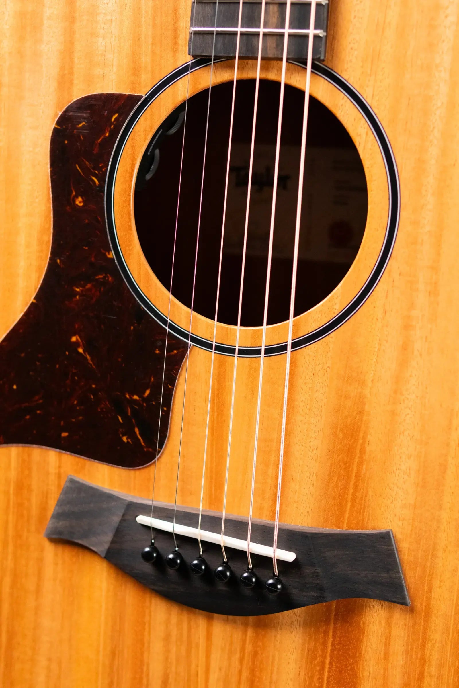 Taylor 24ce Left-Handed Grand Auditorium Acoustic/Electric Guitar with Gig Bag