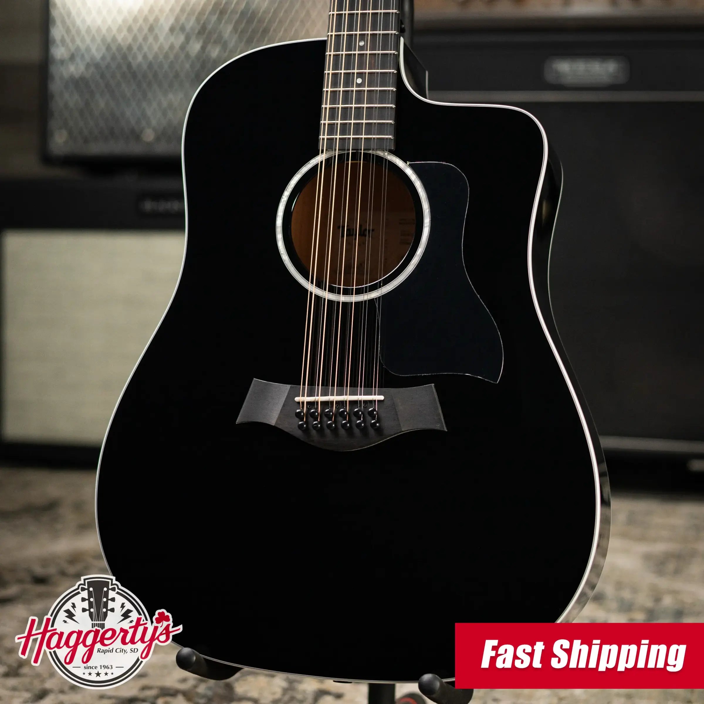 Taylor 250ce-BLK Plus 12-String Acoustic/Electric Guitar - Black with Aerocase - Factory Demo