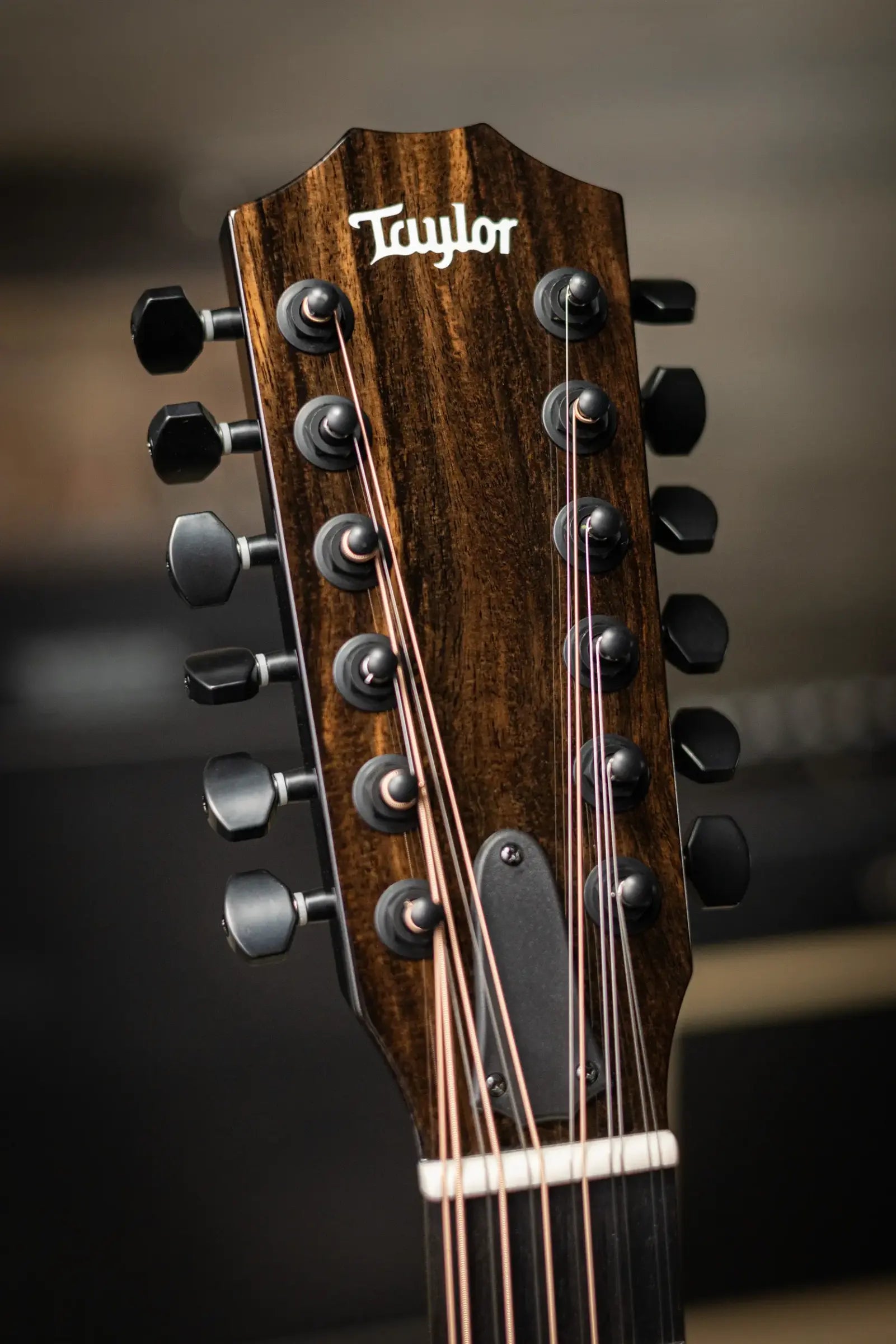 Taylor 250ce-BLK Plus 12-String Acoustic/Electric Guitar - Black with Aerocase