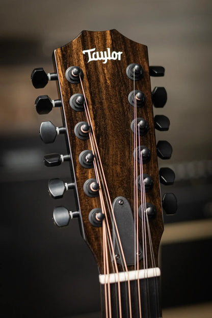 Taylor 250ce-BLK Plus 12-String Acoustic/Electric Guitar - Black with Aerocase