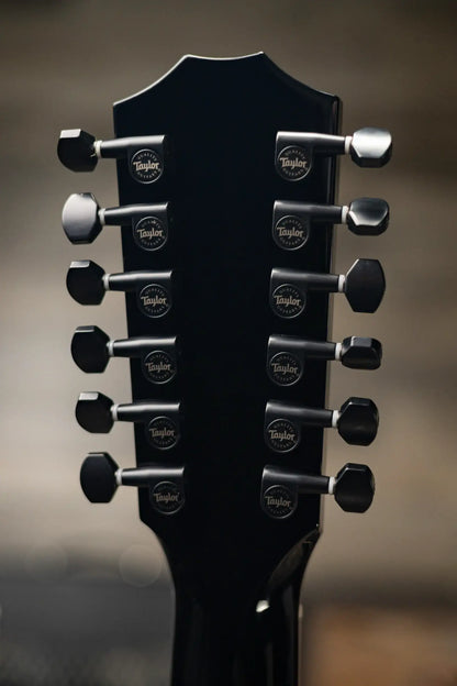 Taylor 250ce-BLK Plus 12-String Acoustic/Electric Guitar - Black with Aerocase - Factory Demo