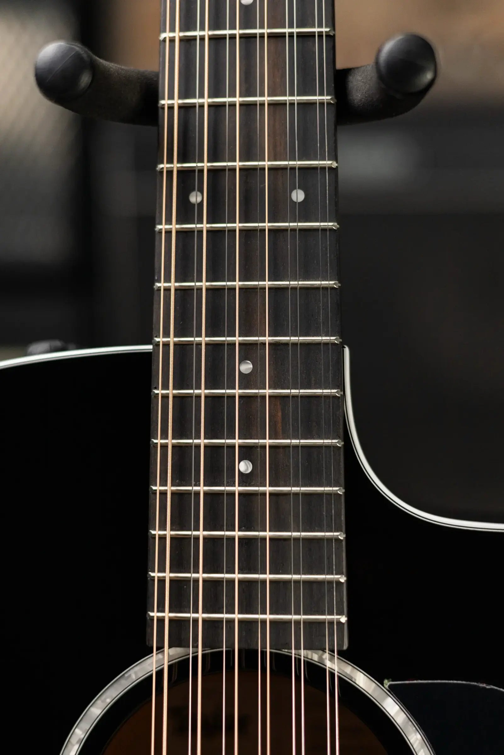 Taylor 250ce-BLK Plus 12-String Acoustic/Electric Guitar - Black with Aerocase