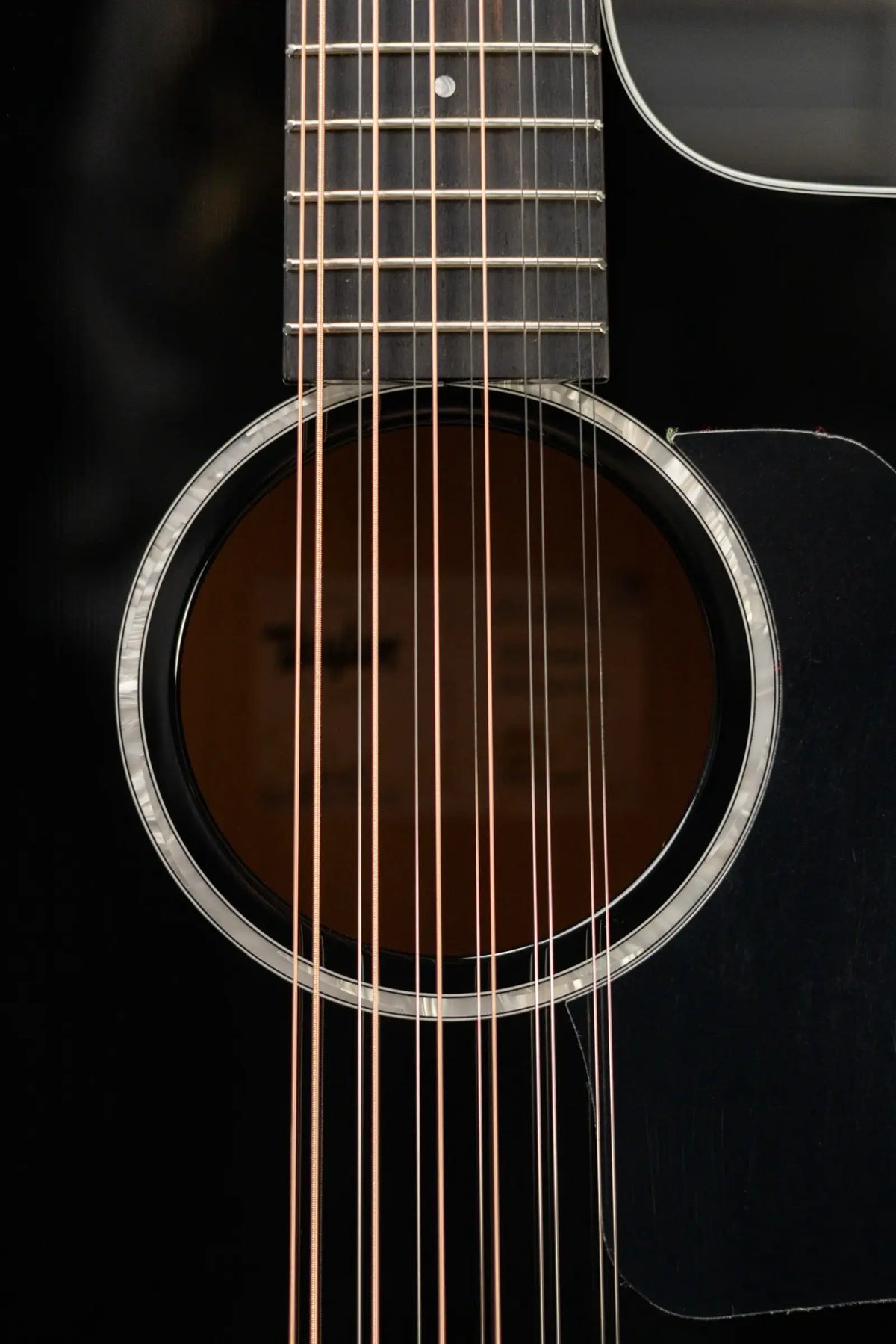Taylor 250ce-BLK Plus 12-String Acoustic/Electric Guitar - Black with Aerocase - Factory Demo