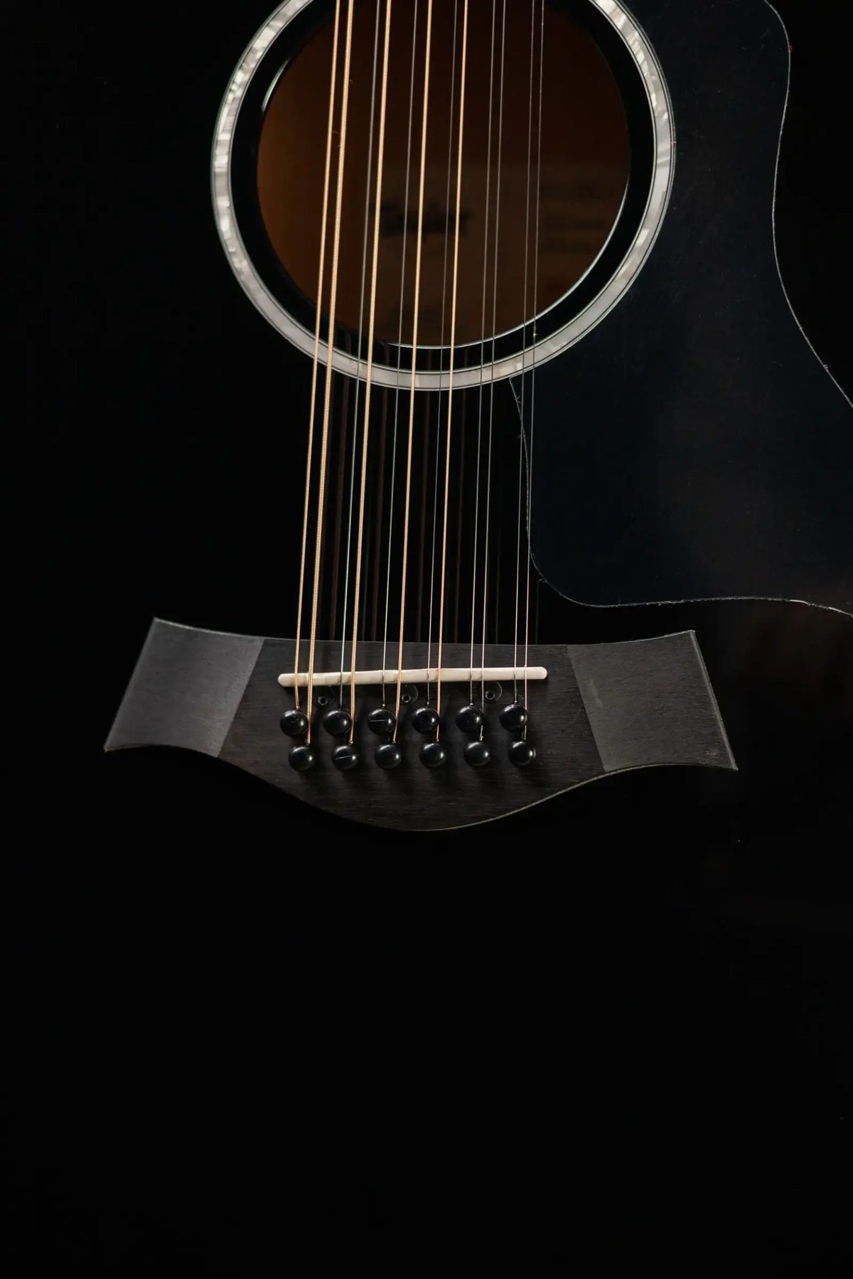 Taylor 250ce-BLK Plus 12-String Acoustic/Electric Guitar - Black with Aerocase - Factory Demo