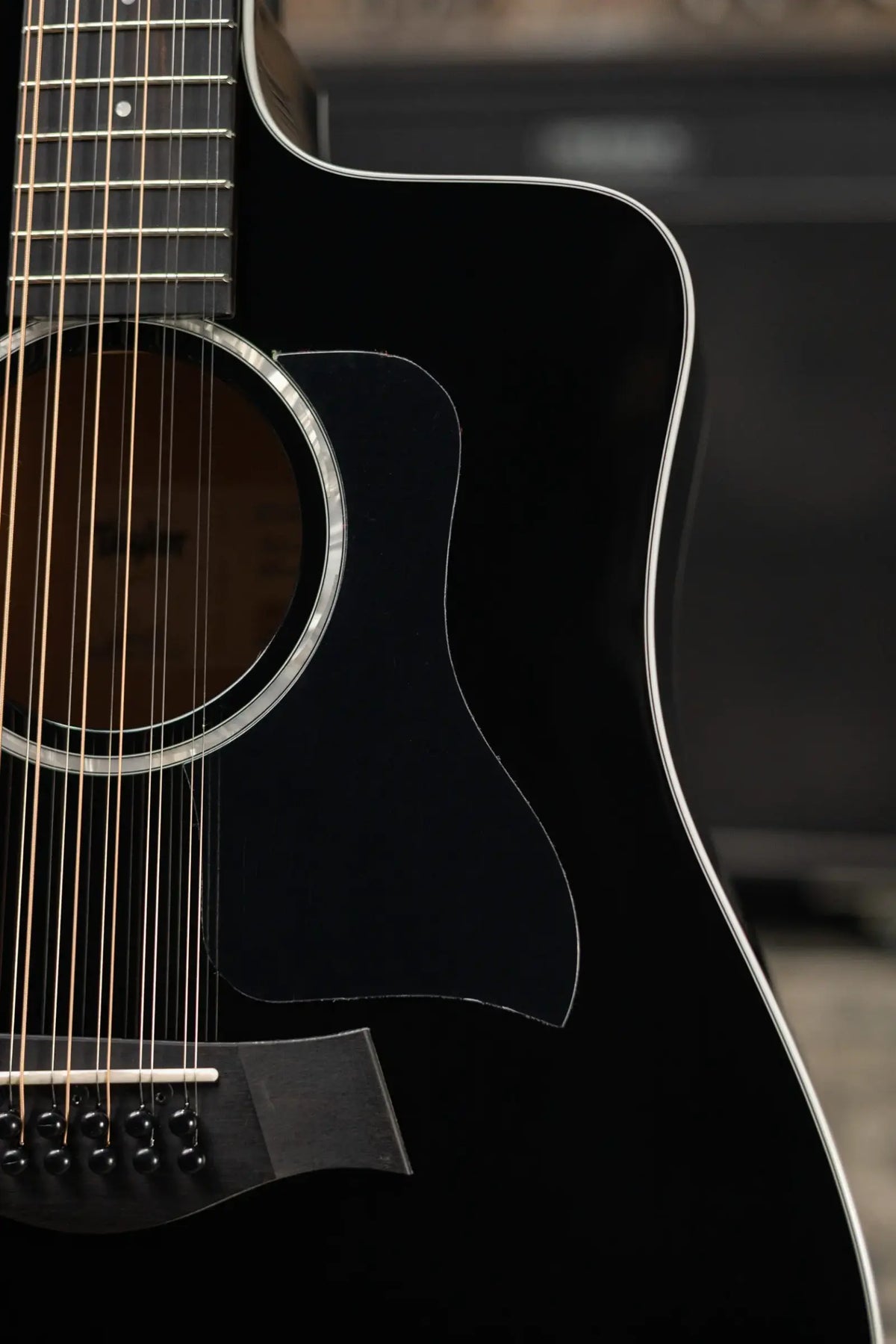Taylor 250ce-BLK Plus 12-String Acoustic/Electric Guitar - Black with Aerocase - Factory Demo