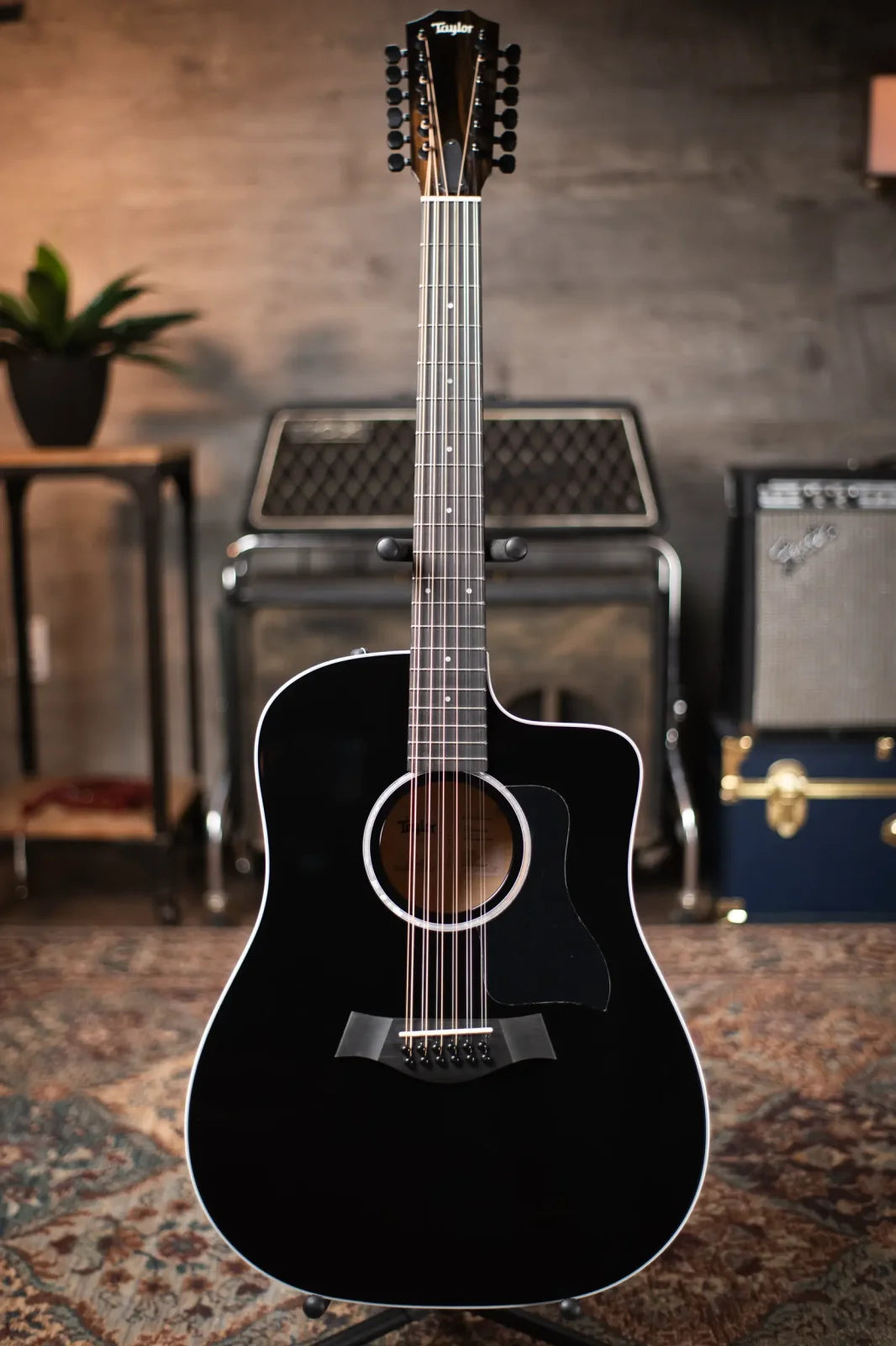 Taylor 250ce-BLK Plus 12-String Acoustic/Electric with Aerocase - Factory Demo