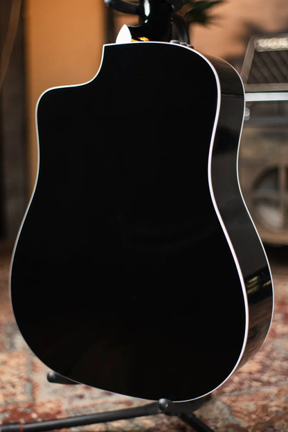 Taylor 250ce-BLK Plus 12-String Acoustic/Electric with Aerocase - Factory Demo