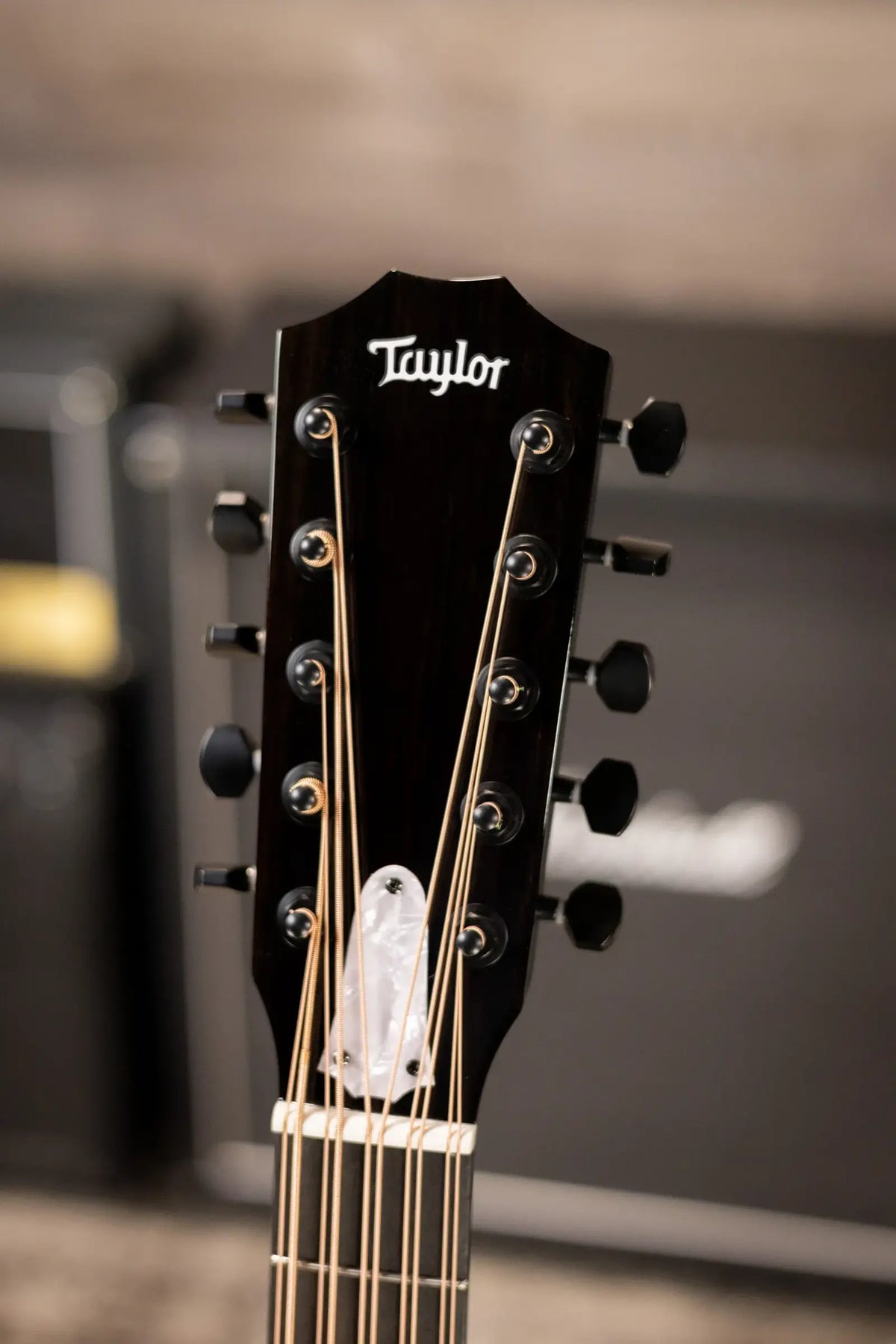 Taylor 250ce Plus BLK Bajo Quinto Acoustic/Electric Guitar - Black with Aerocase - Factory Demo