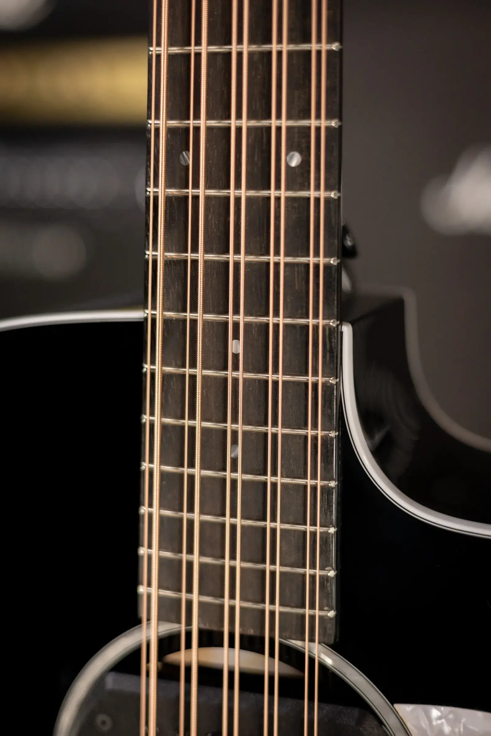 Taylor 250ce Plus BLK Bajo Quinto Acoustic/Electric Guitar - Black with Aerocase - Factory Demo