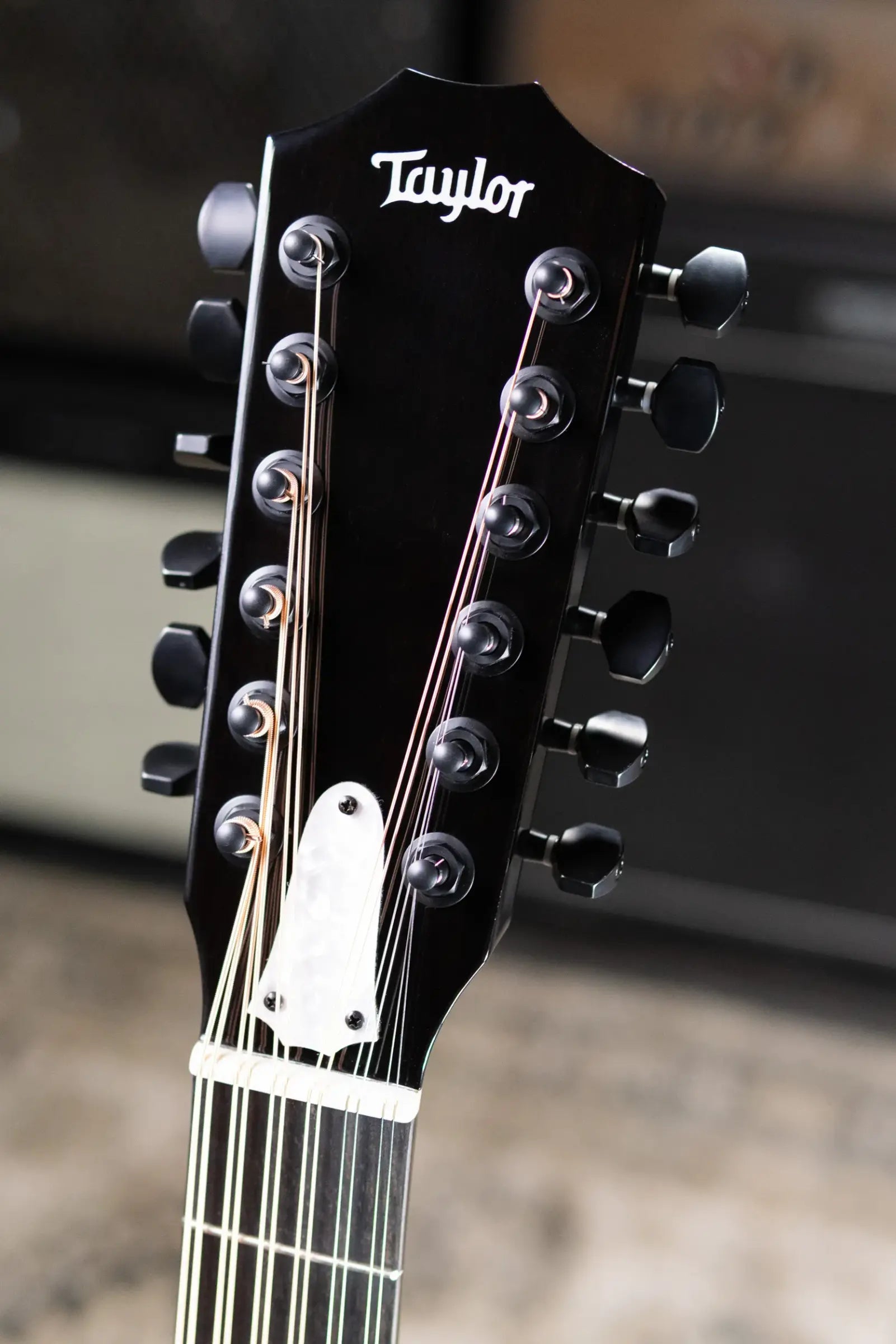 Taylor 250ce Plus BLK Doce Doble Acoustic/Electric Guitar - Black with Aerocase - Factory Demo